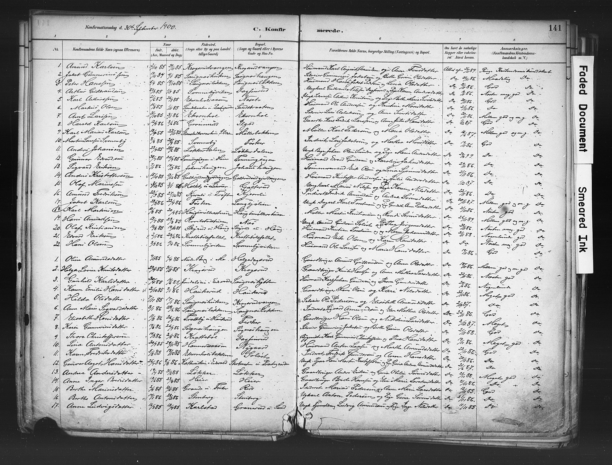 Nord-Odal prestekontor, AV/SAH-PREST-032/H/Ha/Haa/L0006: Ministerialbok nr. 6, 1886-1901, s. 141