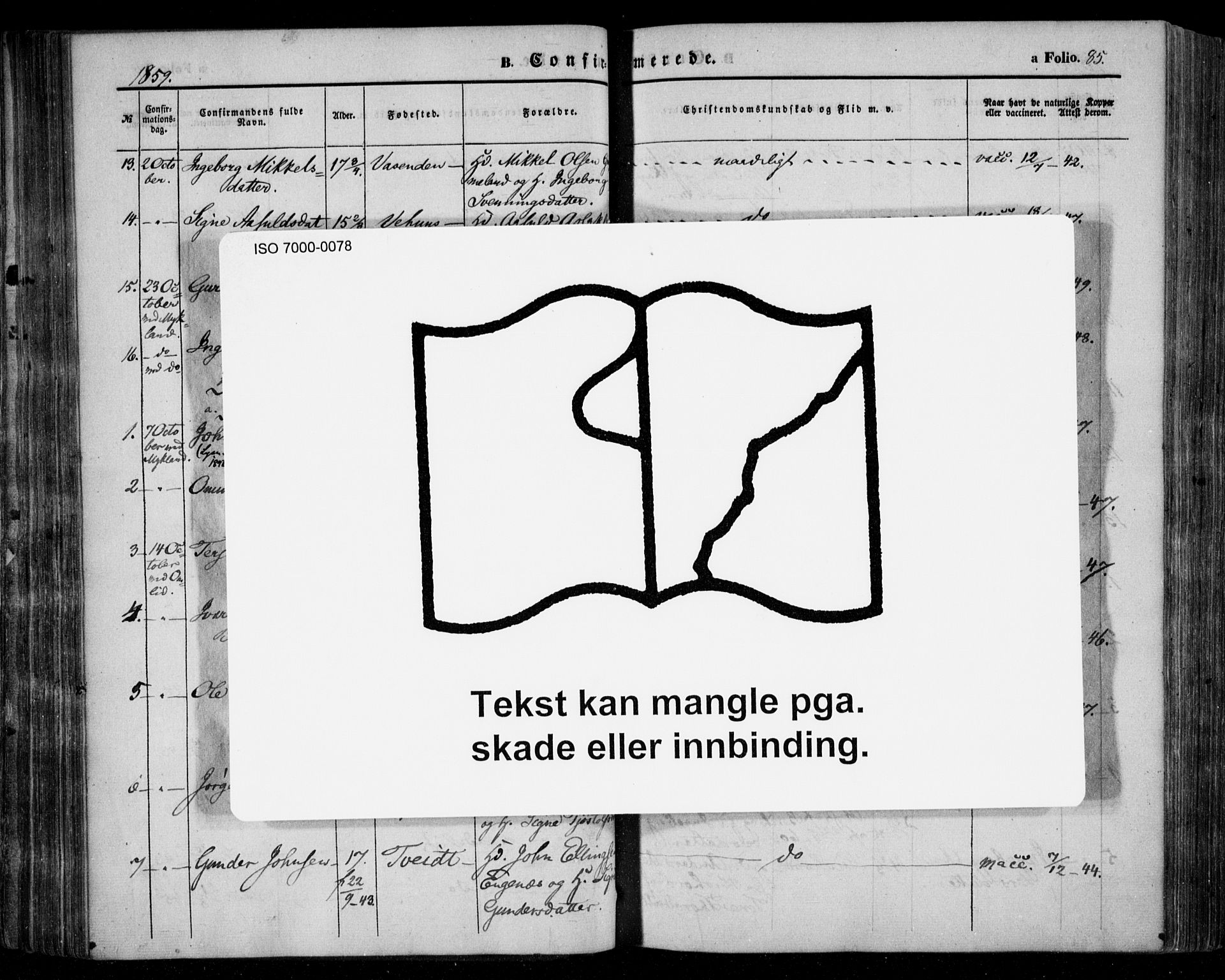 Åmli sokneprestkontor, AV/SAK-1111-0050/F/Fa/Fac/L0008: Ministerialbok nr. A 8, 1852-1869, s. 85