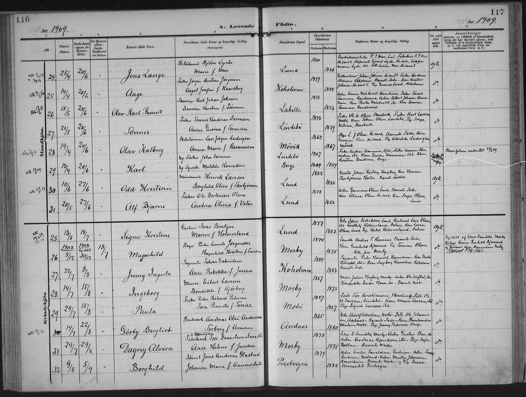 Oddernes sokneprestkontor, AV/SAK-1111-0033/F/Fa/Faa/L0011: Ministerialbok nr. A 11, 1904-1911, s. 116-117