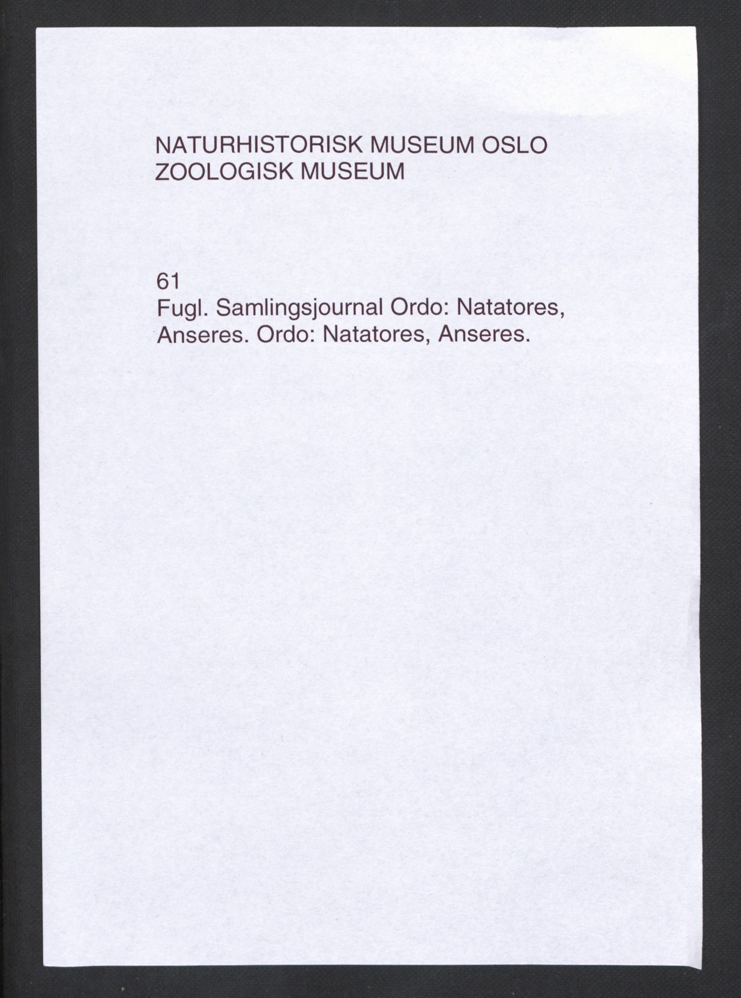 Naturhistorisk museum (Oslo), Zoologisk museum, NHMO/001/B