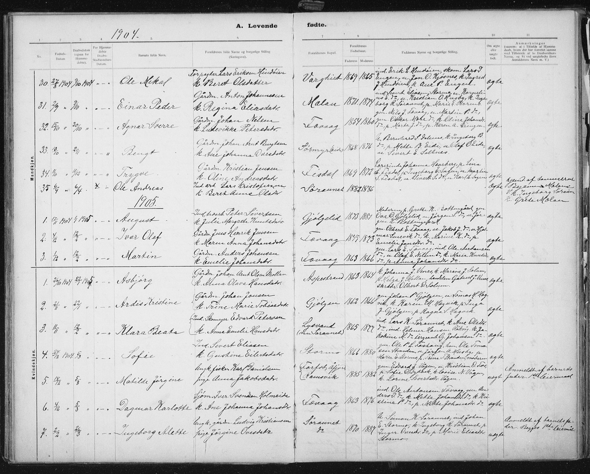 Ministerialprotokoller, klokkerbøker og fødselsregistre - Sør-Trøndelag, AV/SAT-A-1456/653/L0660: Klokkerbok nr. 653C04, 1894-1919