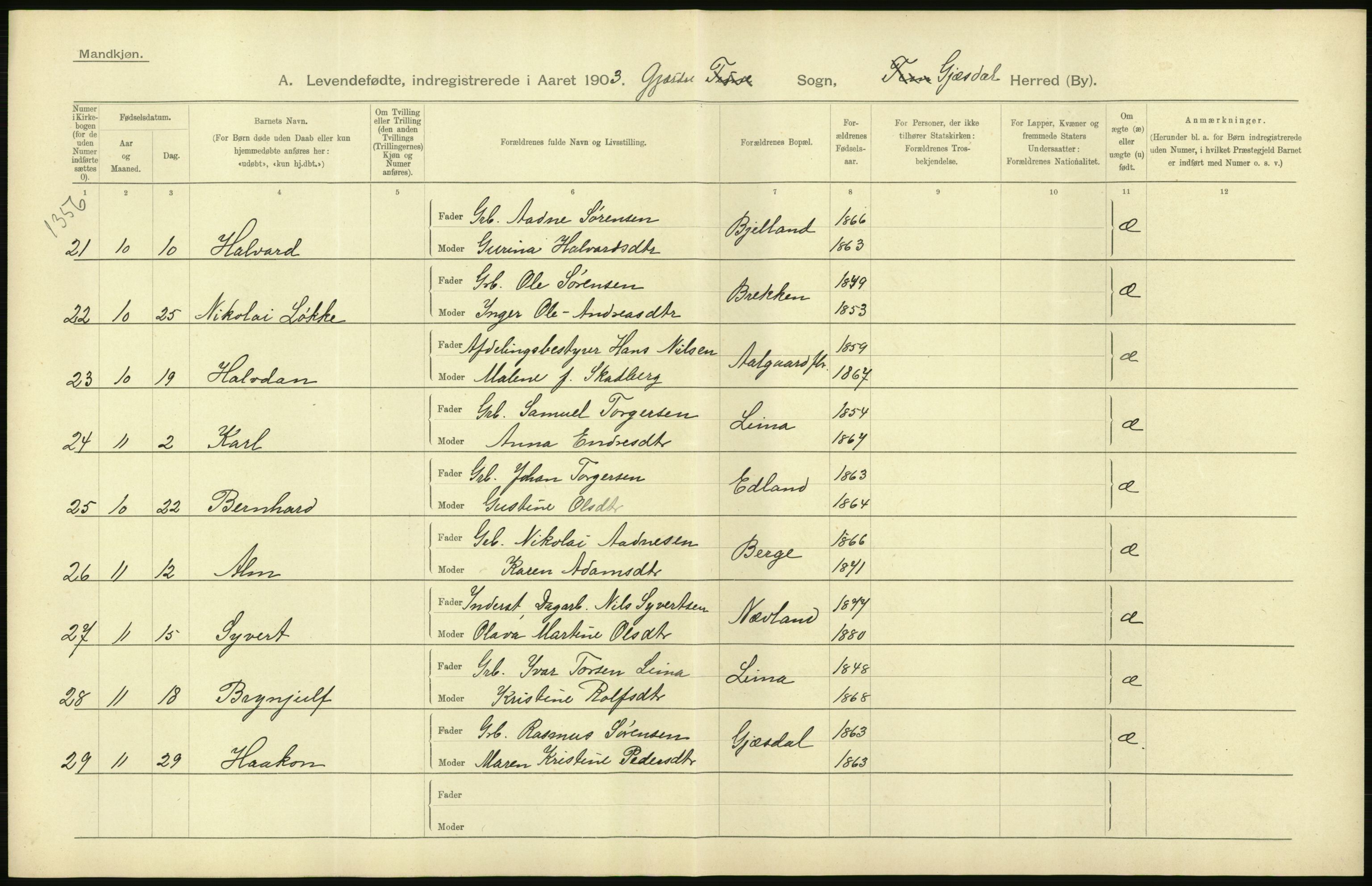 Statistisk sentralbyrå, Sosiodemografiske emner, Befolkning, AV/RA-S-2228/D/Df/Dfa/Dfaa/L0012: Stavanger amt: Fødte, gifte, døde, 1903, s. 20