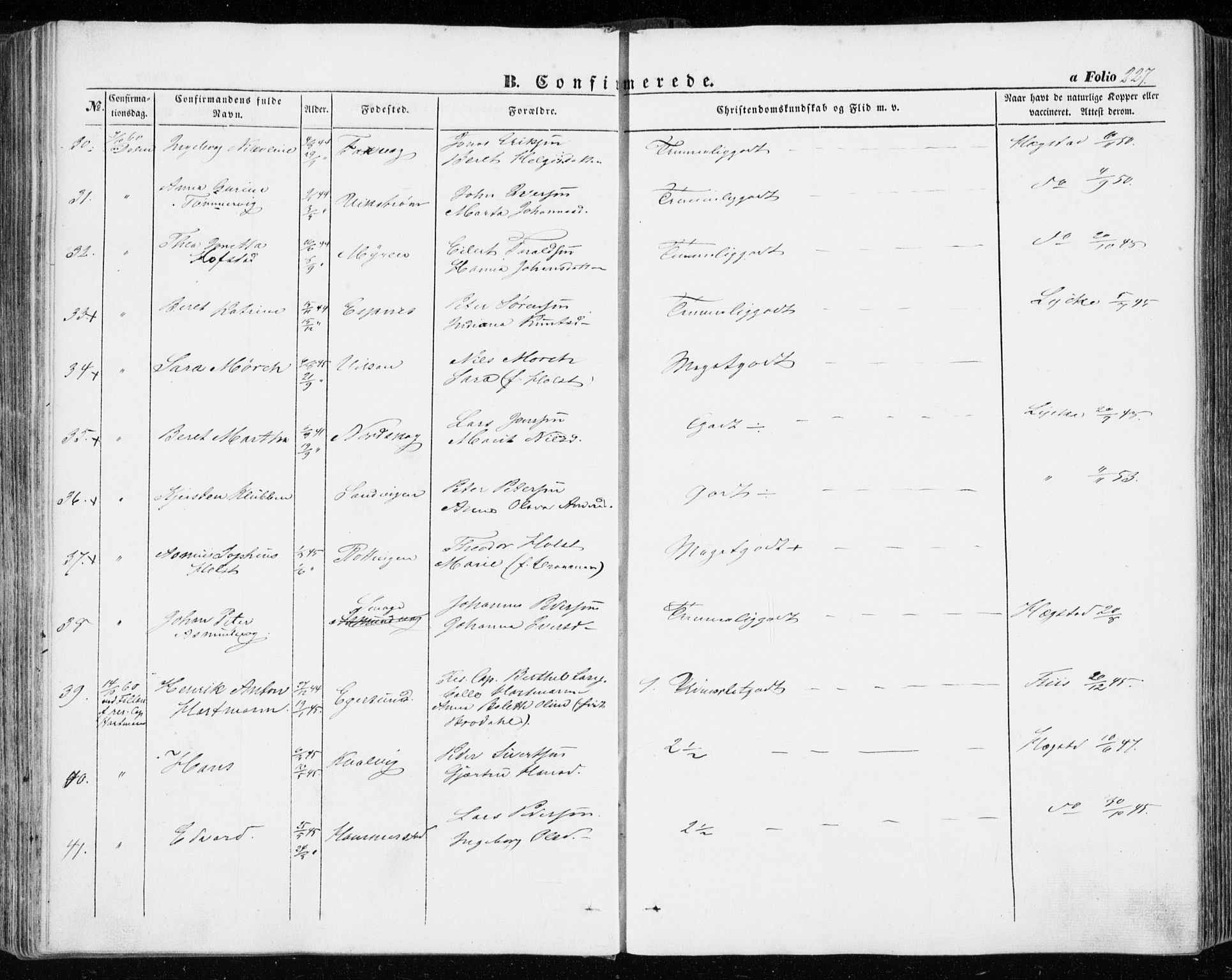 Ministerialprotokoller, klokkerbøker og fødselsregistre - Sør-Trøndelag, SAT/A-1456/634/L0530: Ministerialbok nr. 634A06, 1852-1860, s. 227