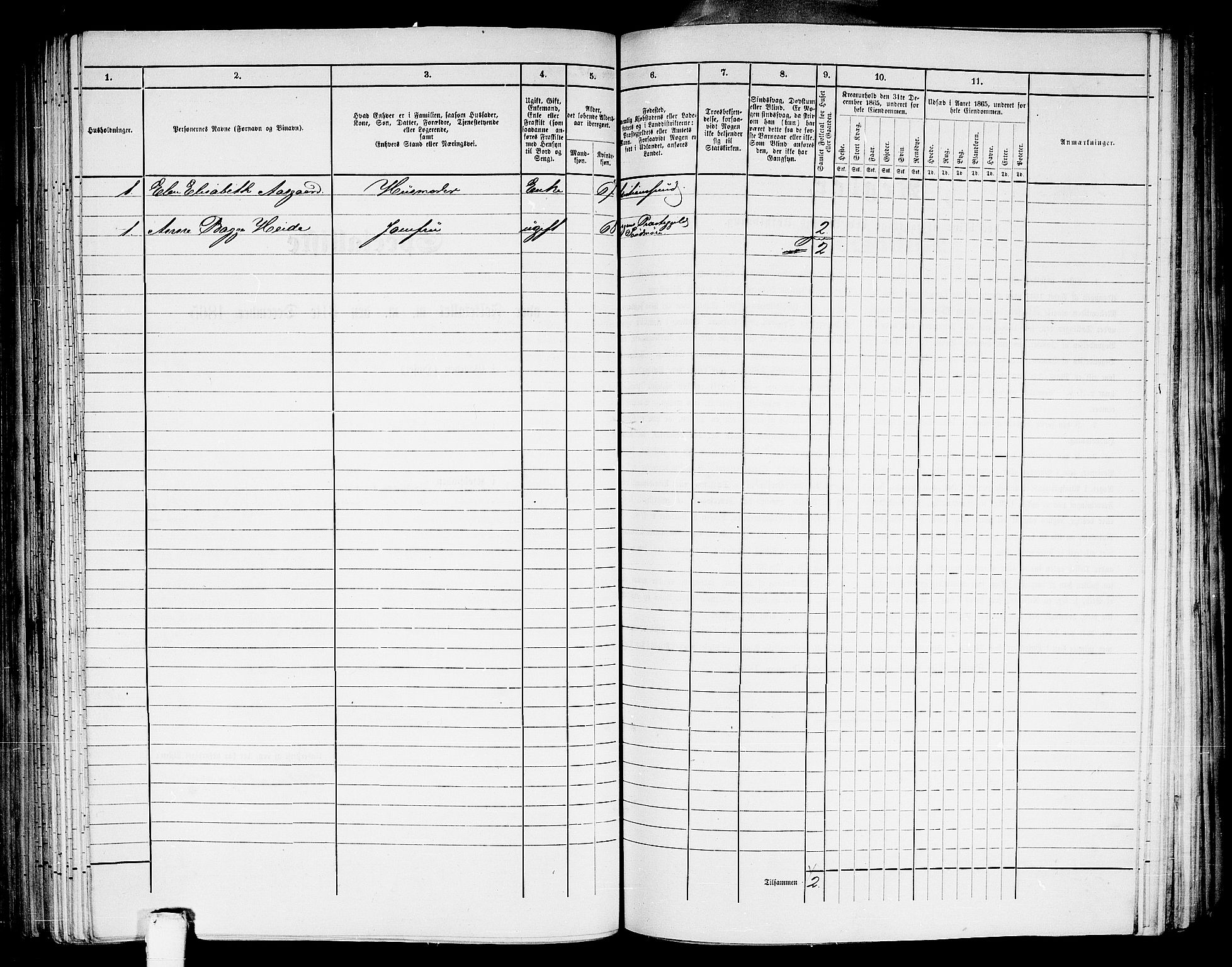 RA, Folketelling 1865 for 1503B Kristiansund prestegjeld, Kristiansund kjøpstad, 1865, s. 297