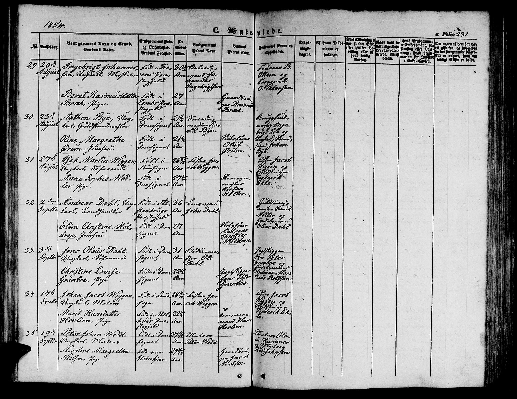 Ministerialprotokoller, klokkerbøker og fødselsregistre - Sør-Trøndelag, AV/SAT-A-1456/602/L0137: Klokkerbok nr. 602C05, 1846-1856, s. 231