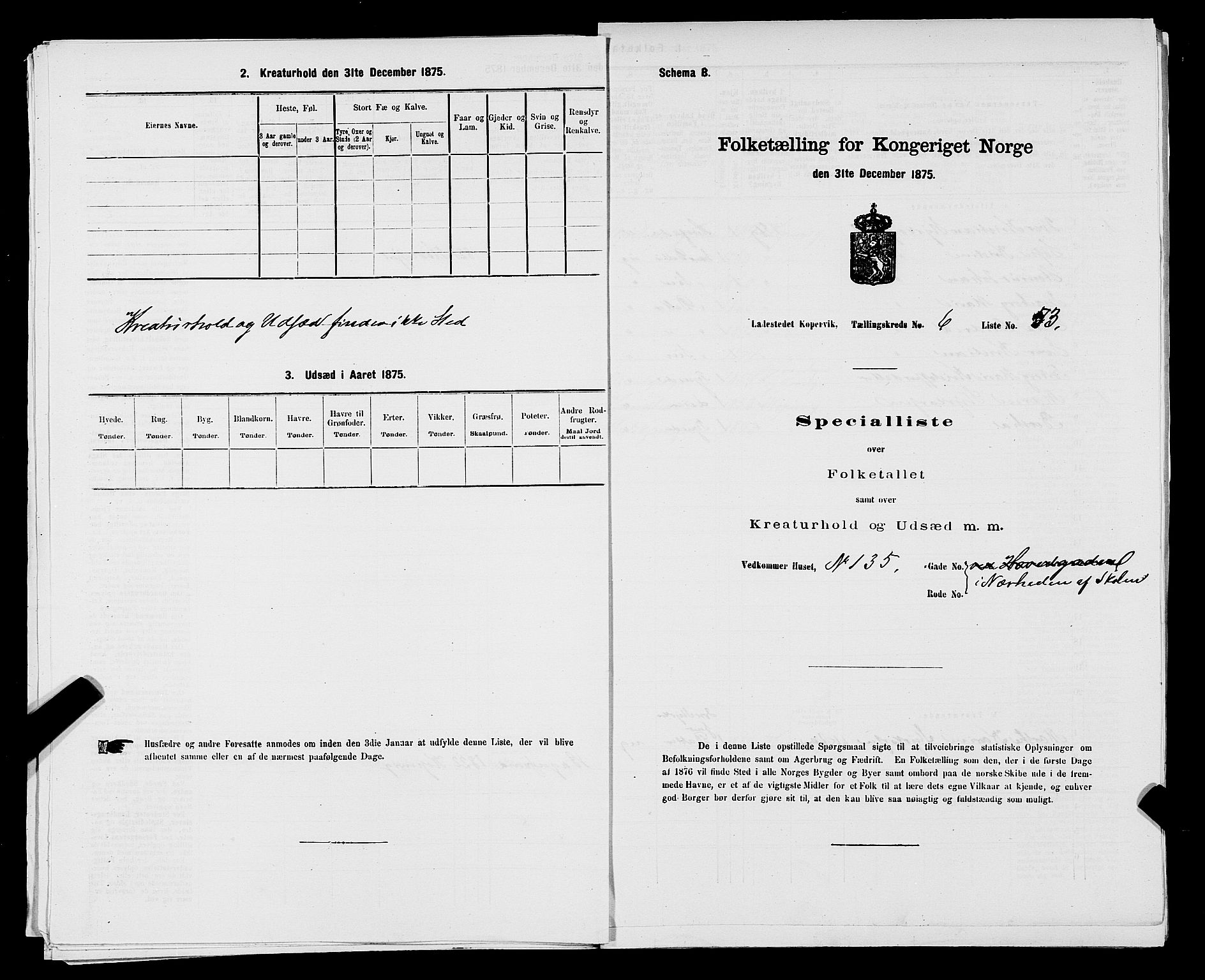 SAST, Folketelling 1875 for 1105B Avaldsnes prestegjeld, Kopervik ladested, 1875, s. 104