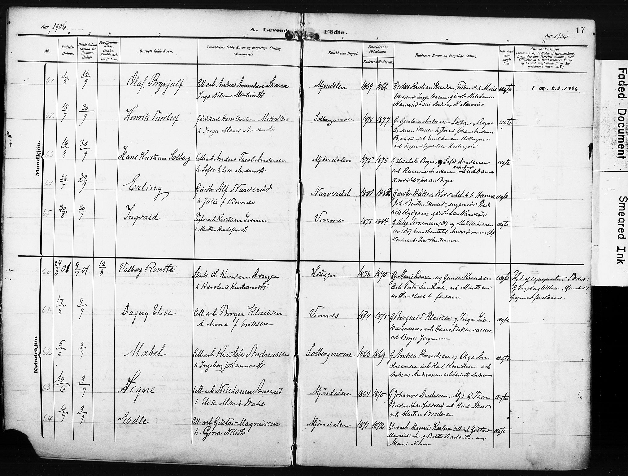 Nedre Eiker kirkebøker, AV/SAKO-A-612/F/Fa/L0006: Ministerialbok nr. 6, 1906-1912, s. 17