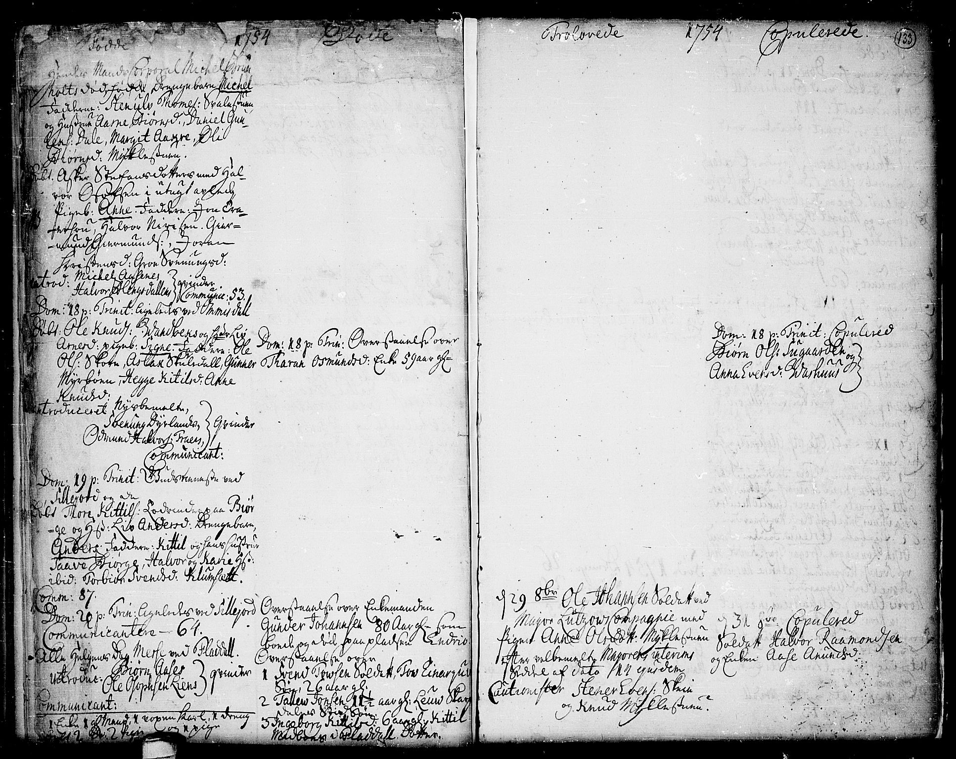 Seljord kirkebøker, SAKO/A-20/F/Fa/L0006: Ministerialbok nr. I 6, 1744-1755, s. 133