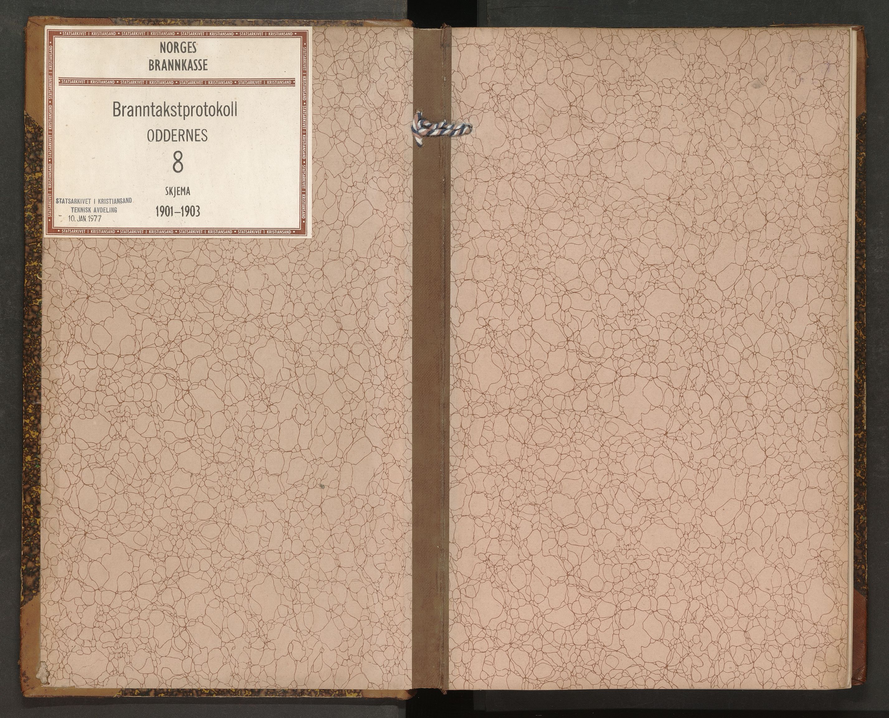 Norges Brannkasse Oddernes, AV/SAK-2241-0042/F/Fa/L0008: Branntakstprotokoll nr. 8, 1901-1903