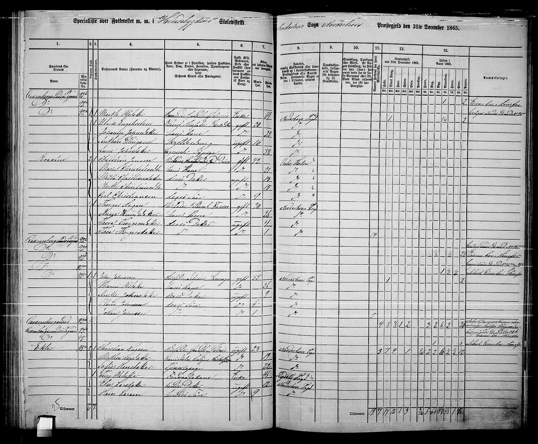 RA, Folketelling 1865 for 0613L Norderhov prestegjeld, Norderhov sokn, Haug sokn og Lunder sokn, 1865, s. 161