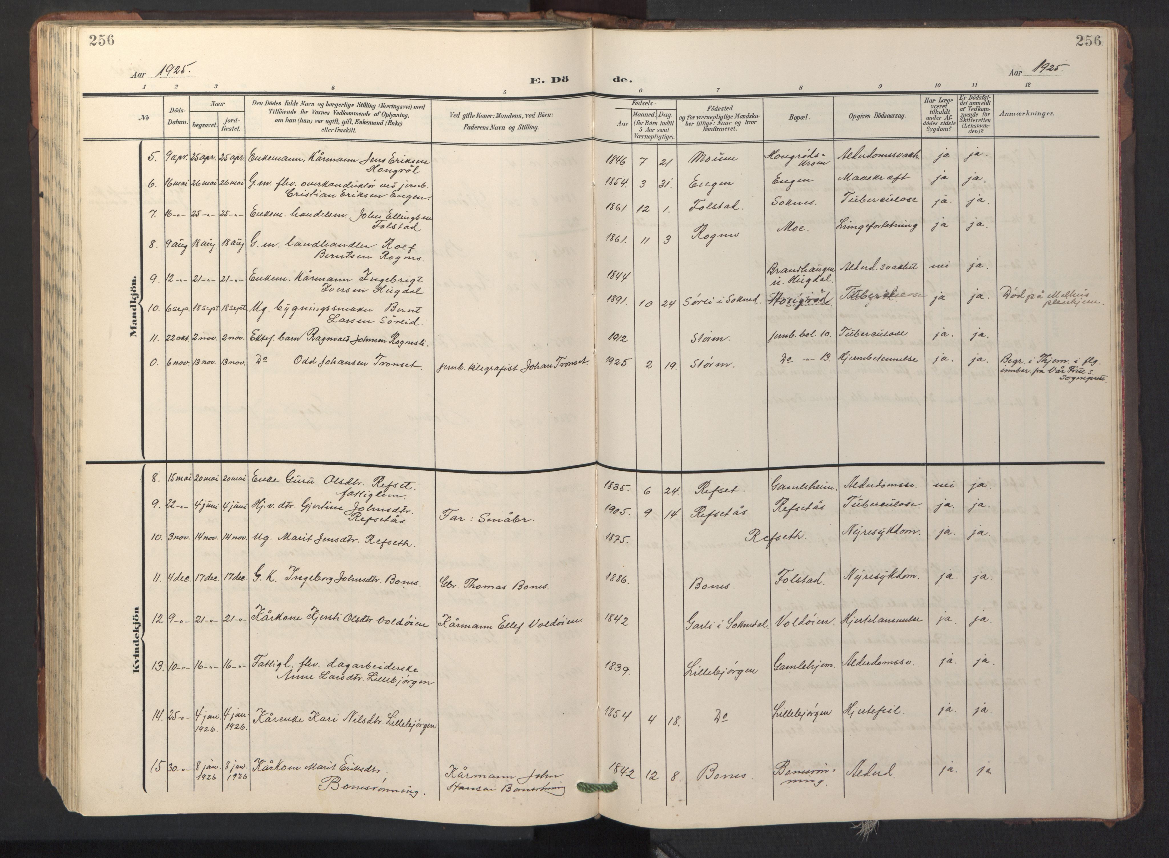 Ministerialprotokoller, klokkerbøker og fødselsregistre - Sør-Trøndelag, AV/SAT-A-1456/687/L1019: Klokkerbok nr. 687C03, 1904-1931, s. 256