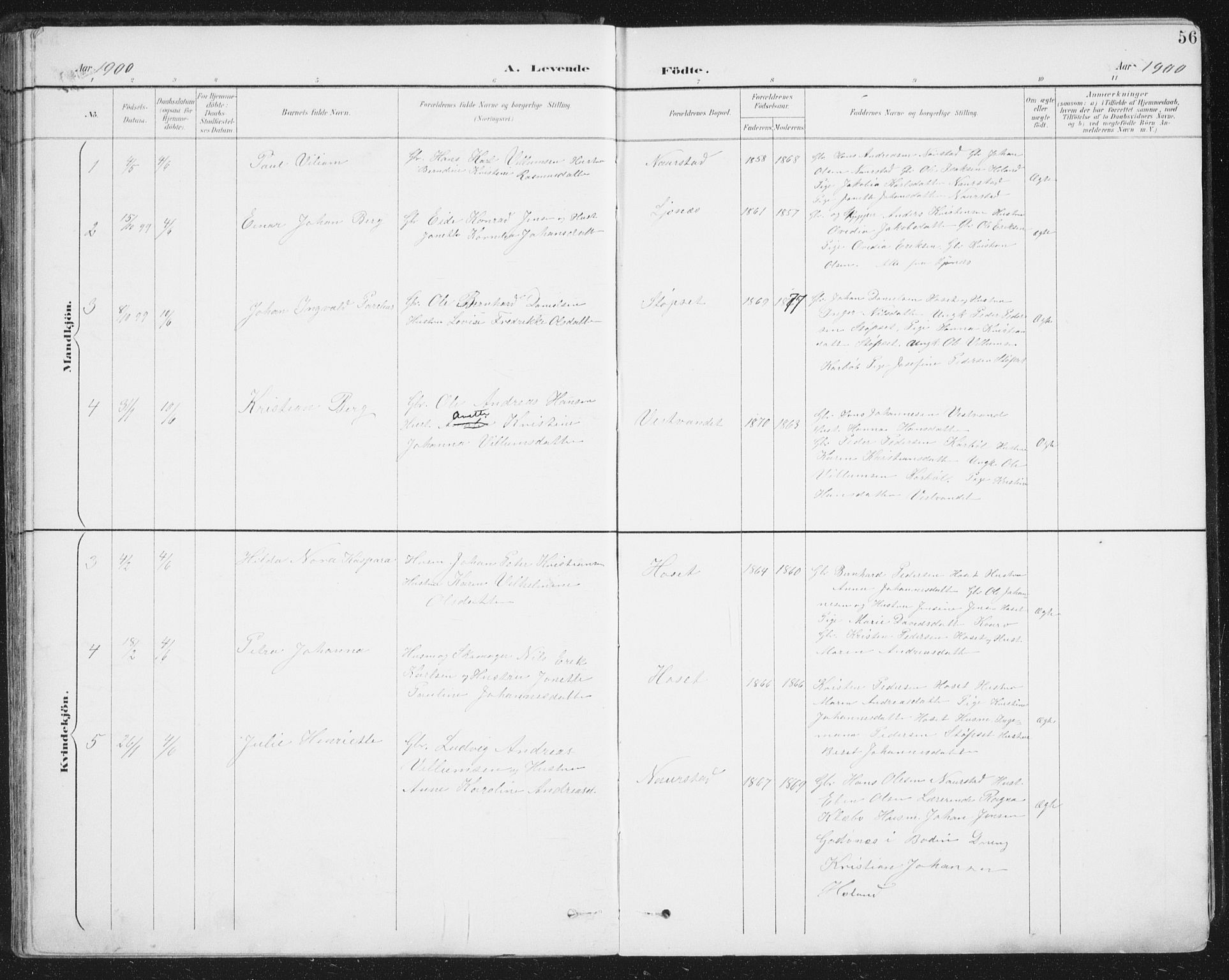 Ministerialprotokoller, klokkerbøker og fødselsregistre - Nordland, AV/SAT-A-1459/852/L0741: Ministerialbok nr. 852A11, 1894-1917, s. 56