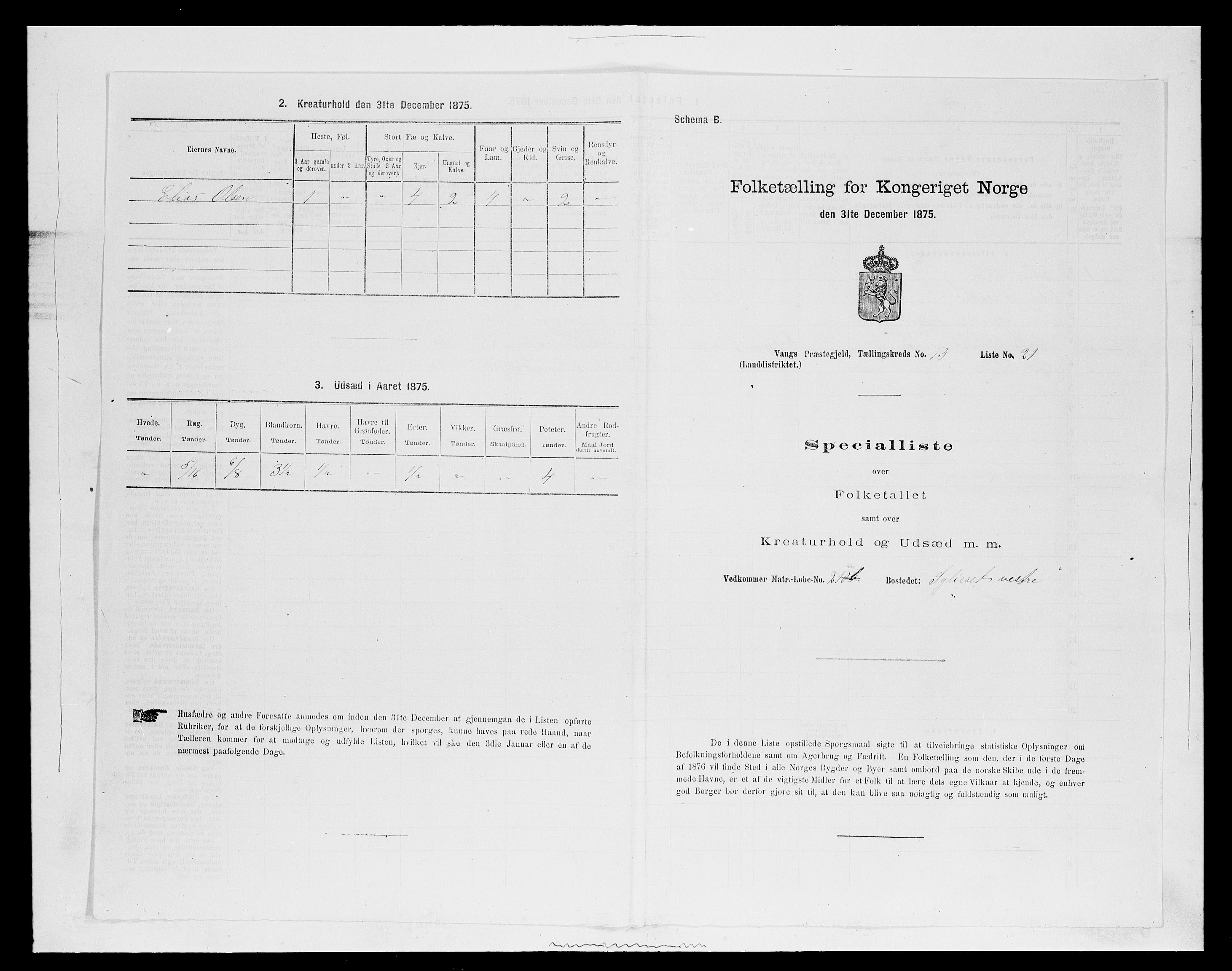 SAH, Folketelling 1875 for 0414L Vang prestegjeld, Vang sokn og Furnes sokn, 1875, s. 2872