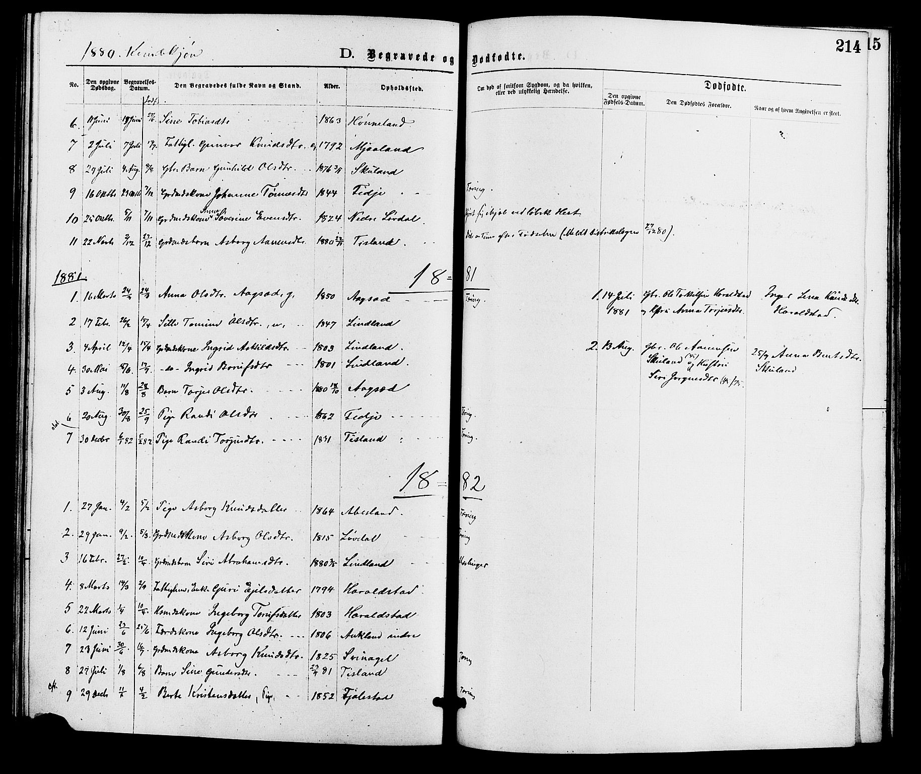 Holum sokneprestkontor, SAK/1111-0022/F/Fa/Fab/L0006: Ministerialbok nr. A 6, 1875-1886, s. 214