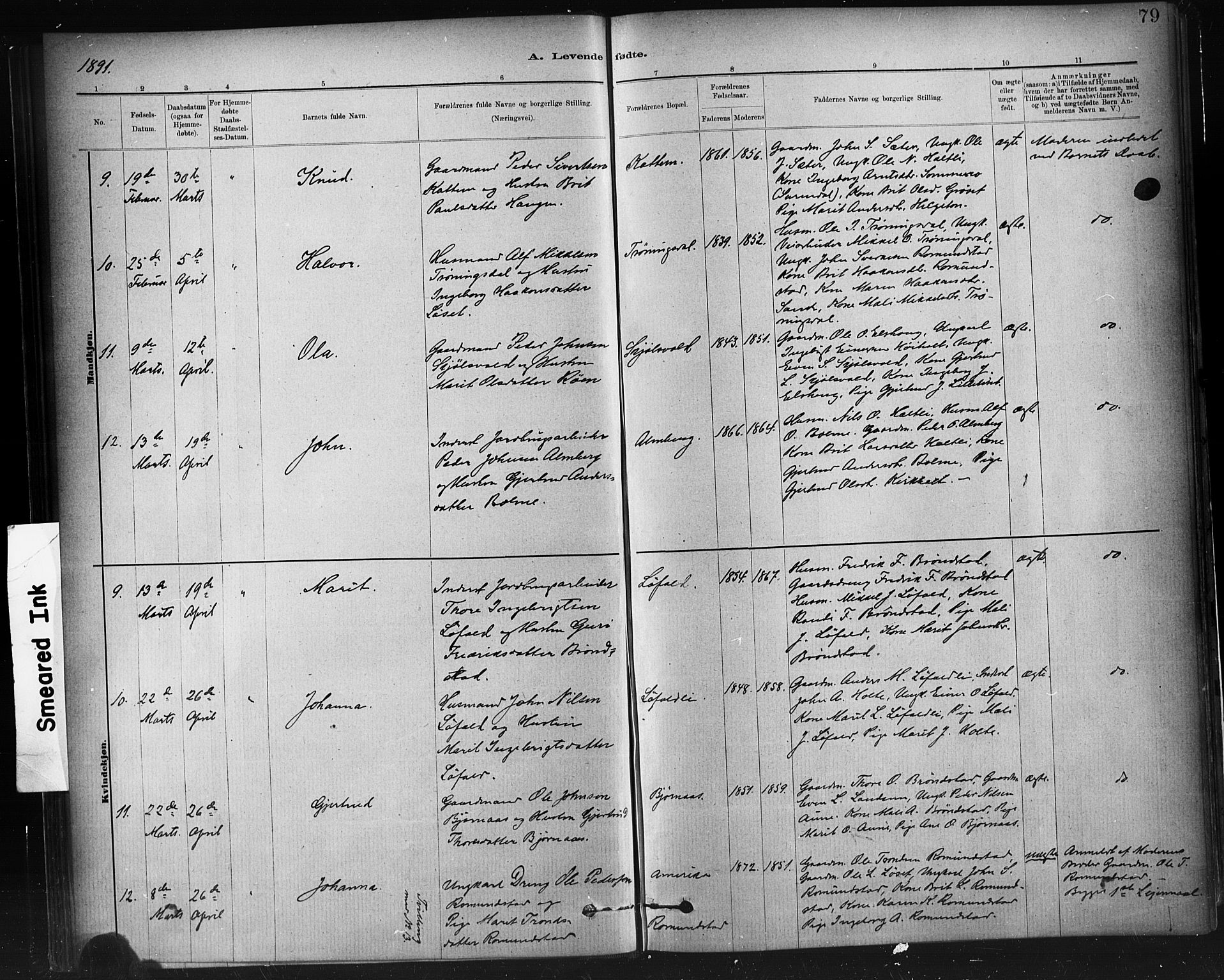 Ministerialprotokoller, klokkerbøker og fødselsregistre - Møre og Romsdal, SAT/A-1454/598/L1069: Ministerialbok nr. 598A03, 1882-1895, s. 79