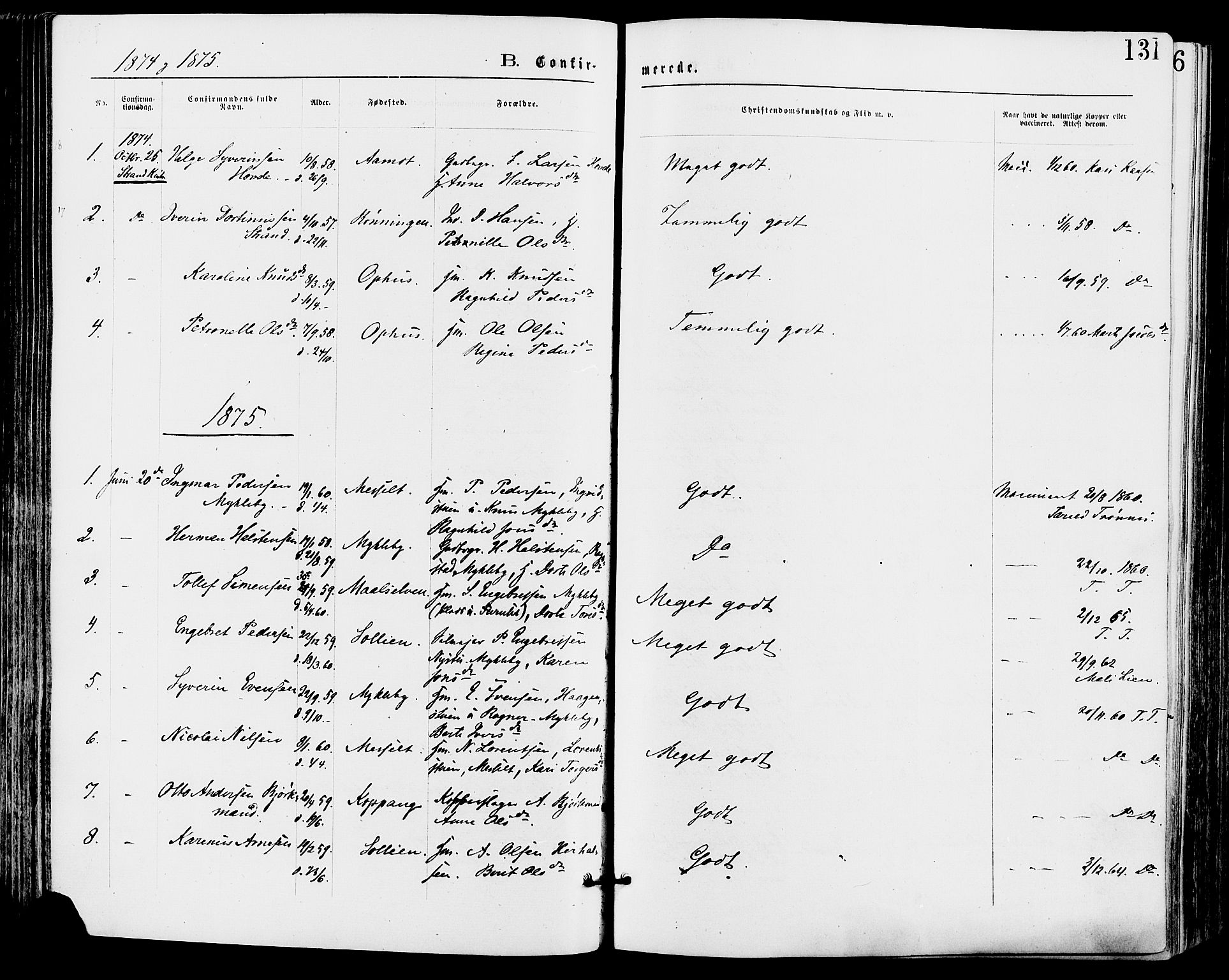 Stor-Elvdal prestekontor, AV/SAH-PREST-052/H/Ha/Haa/L0001: Ministerialbok nr. 1, 1871-1882, s. 131