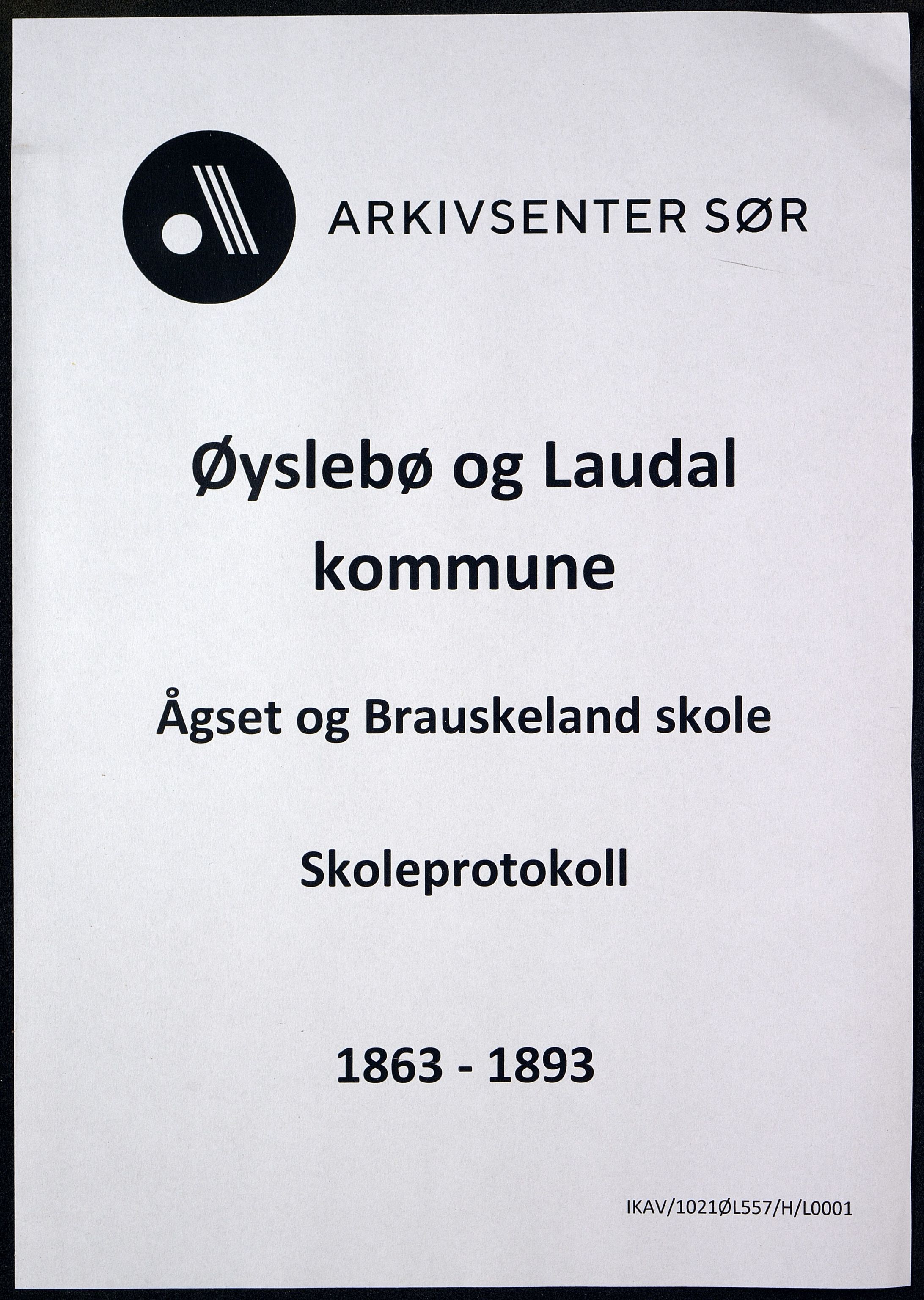 Øyslebø og Laudal kommune - Ågset og Brauskeland Skole, ARKSOR/1021ØL557/H/L0001: Protokoll, 1863-1893