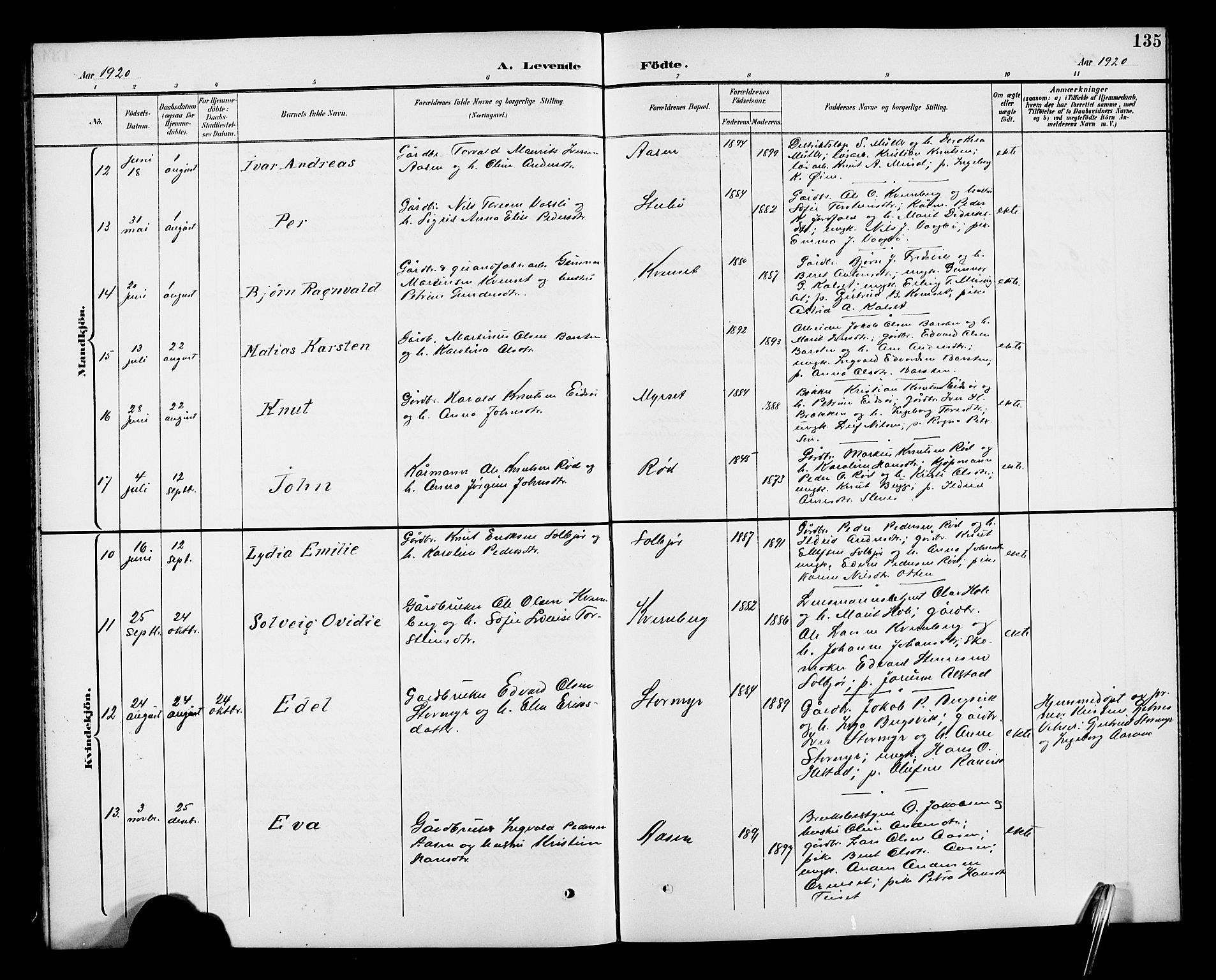 Ministerialprotokoller, klokkerbøker og fødselsregistre - Møre og Romsdal, AV/SAT-A-1454/551/L0632: Klokkerbok nr. 551C04, 1894-1920, s. 135