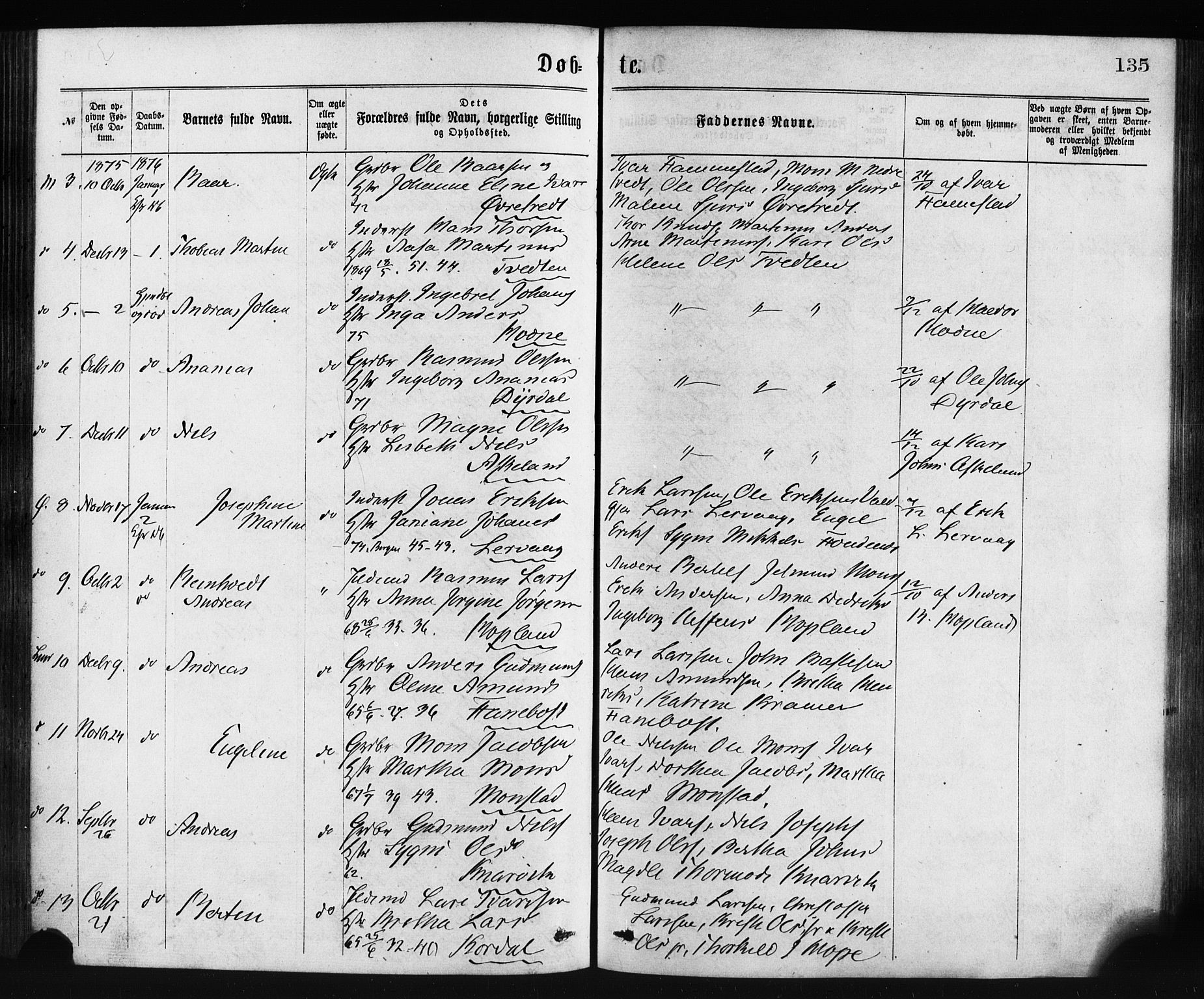Lindås Sokneprestembete, AV/SAB-A-76701/H/Haa/Haaa/L0018: Ministerialbok nr. A 18, 1869-1885, s. 135