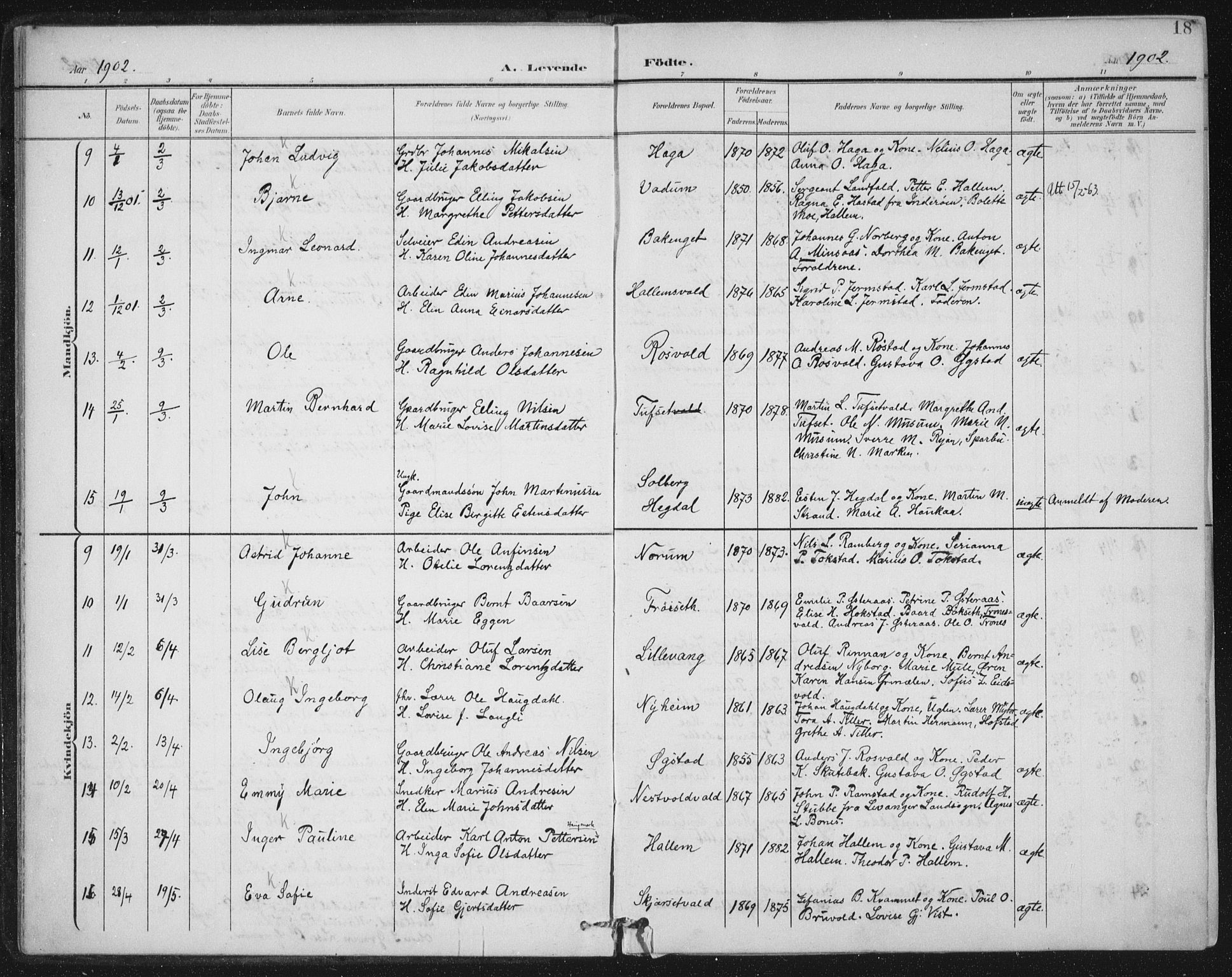 Ministerialprotokoller, klokkerbøker og fødselsregistre - Nord-Trøndelag, SAT/A-1458/723/L0246: Ministerialbok nr. 723A15, 1900-1917, s. 18