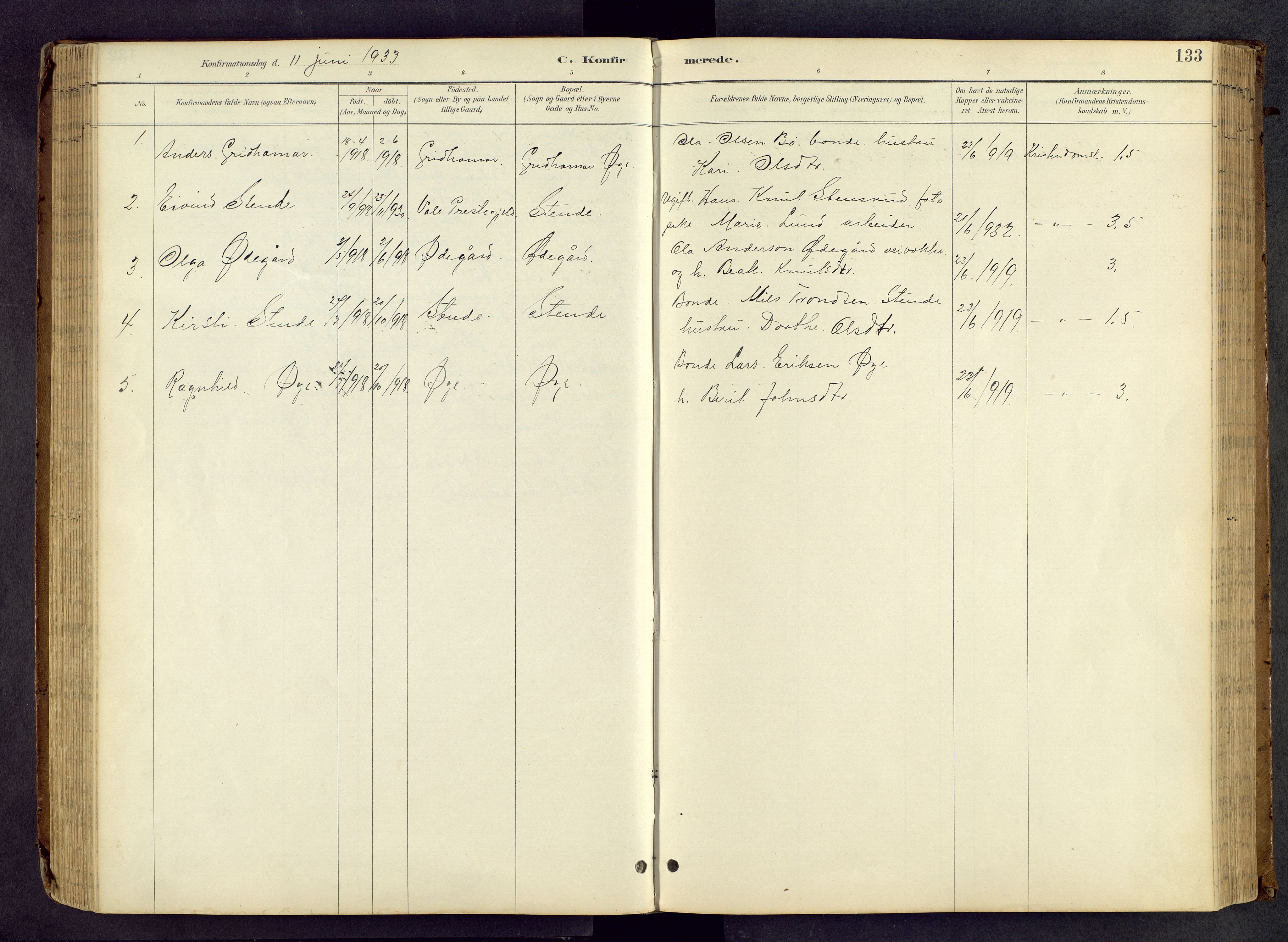 Vang prestekontor, Valdres, AV/SAH-PREST-140/H/Hb/L0005: Klokkerbok nr. 5, 1889-1945, s. 133