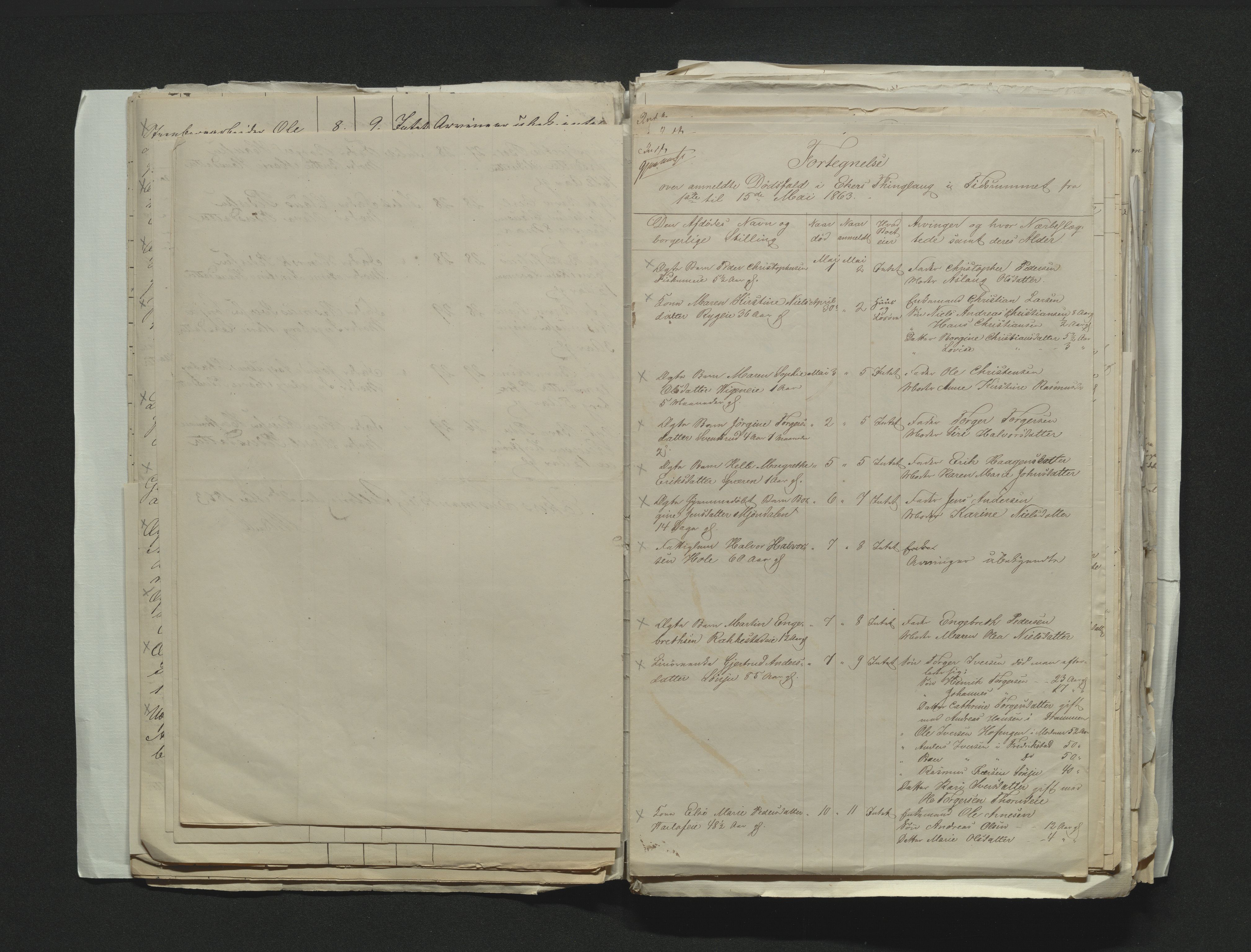 Eiker, Modum og Sigdal sorenskriveri, AV/SAKO-A-123/H/Ha/Hab/L0011: Dødsfallsmeldinger, 1862-1865, s. 192