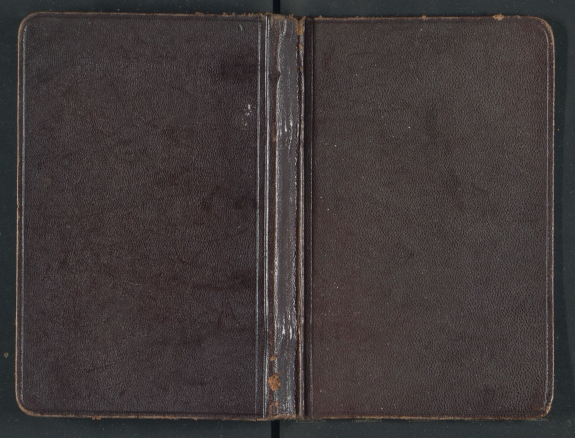 Familien Aalls privatarkiv , NESJ/NJM-005/E-00003/L0001/0001/0006: Dag- og notatbøker / Dølner bokpakke 001, 1878-1909