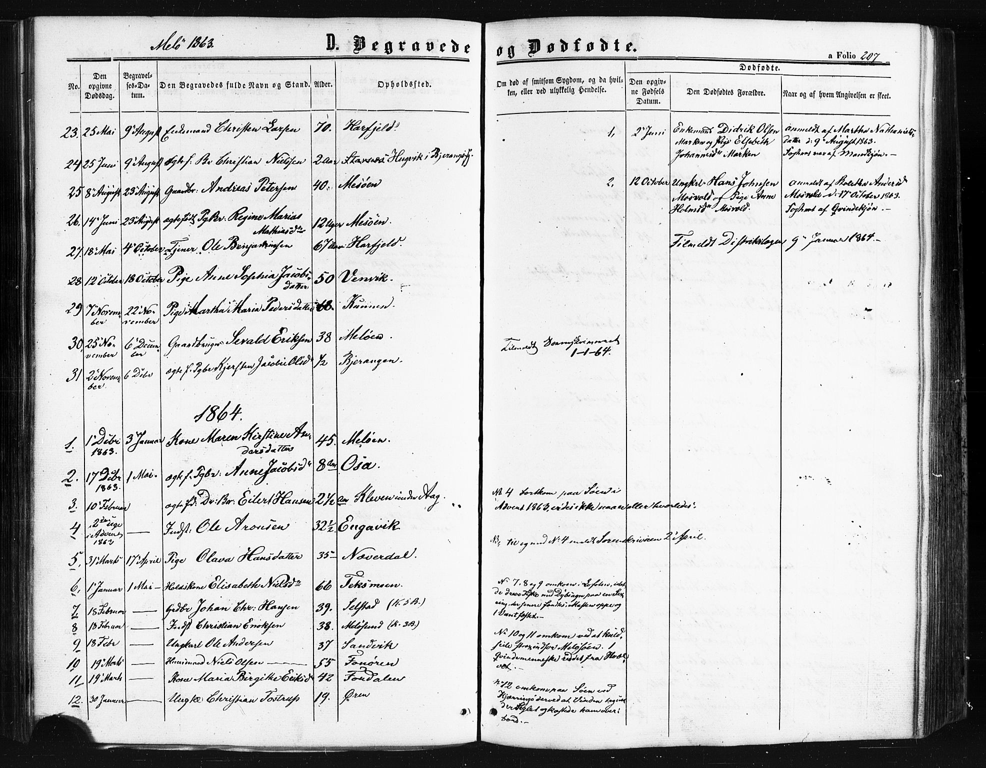 Ministerialprotokoller, klokkerbøker og fødselsregistre - Nordland, AV/SAT-A-1459/841/L0607: Ministerialbok nr. 841A11 /2, 1863-1877, s. 207