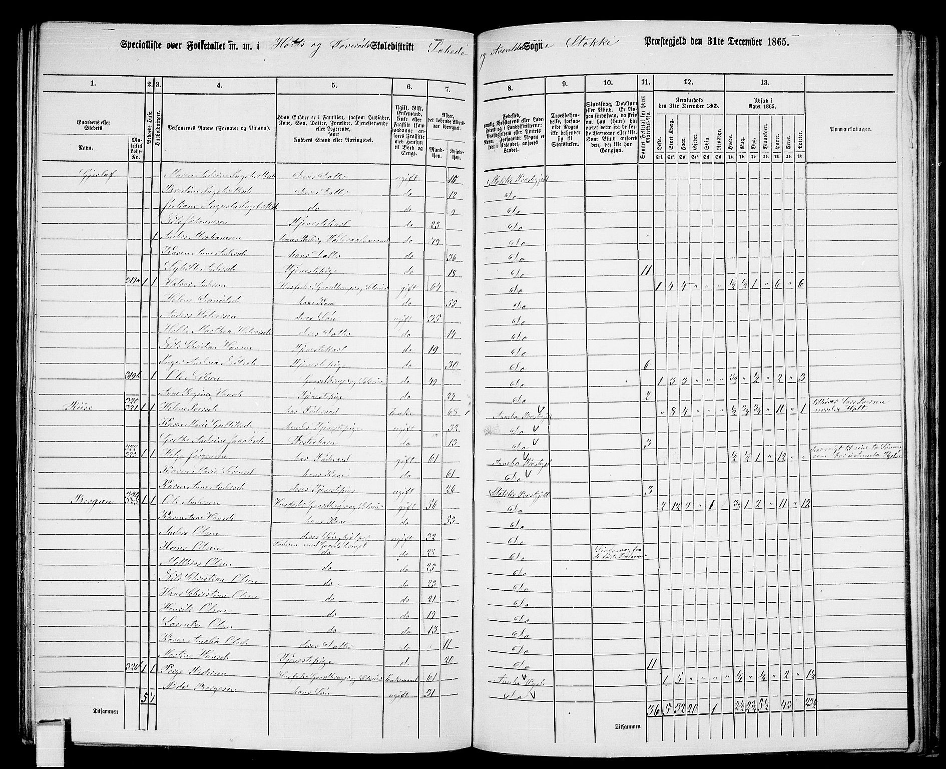 RA, Folketelling 1865 for 0720P Stokke prestegjeld, 1865, s. 161