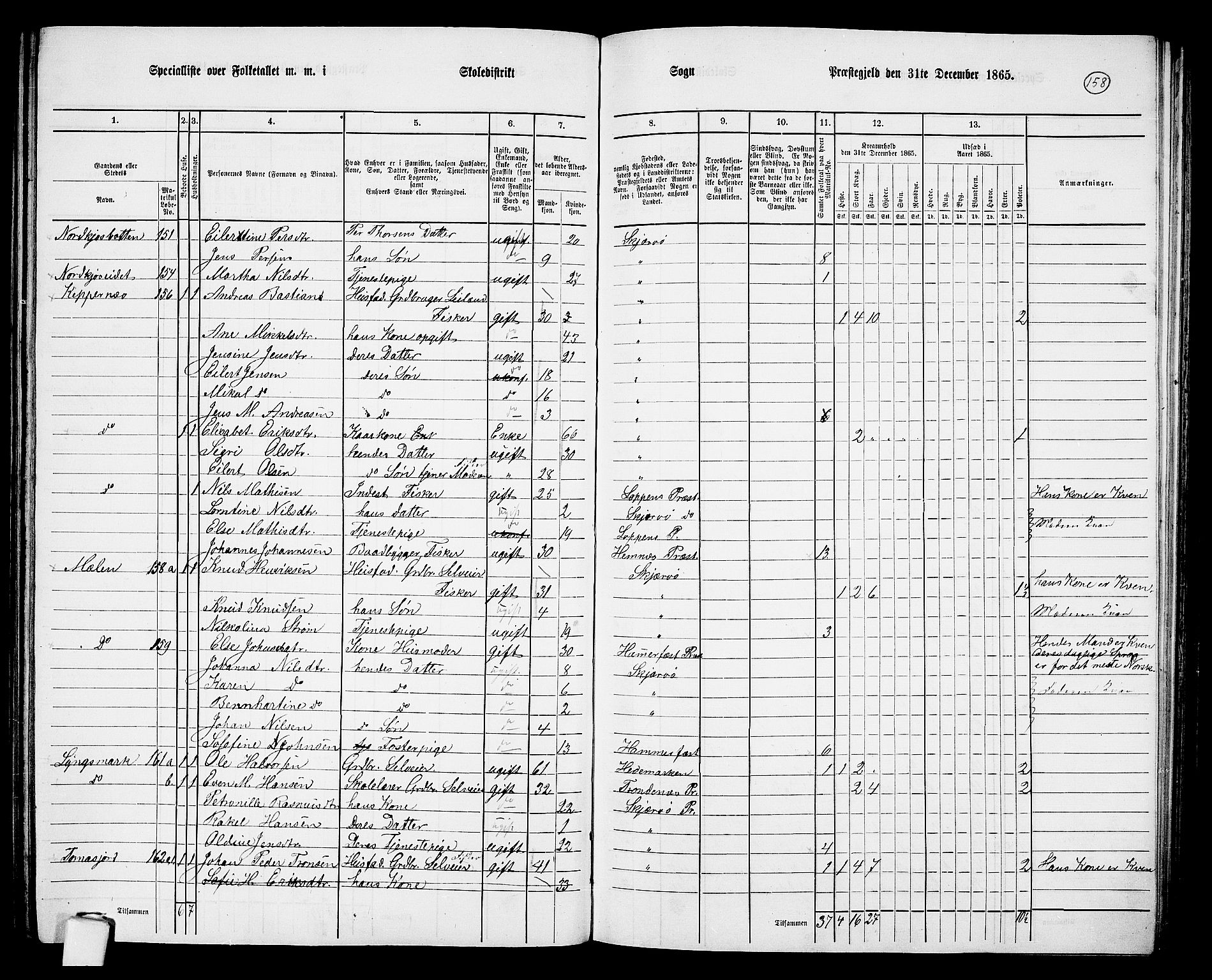 RA, Folketelling 1865 for 1941P Skjervøy prestegjeld, 1865, s. 40