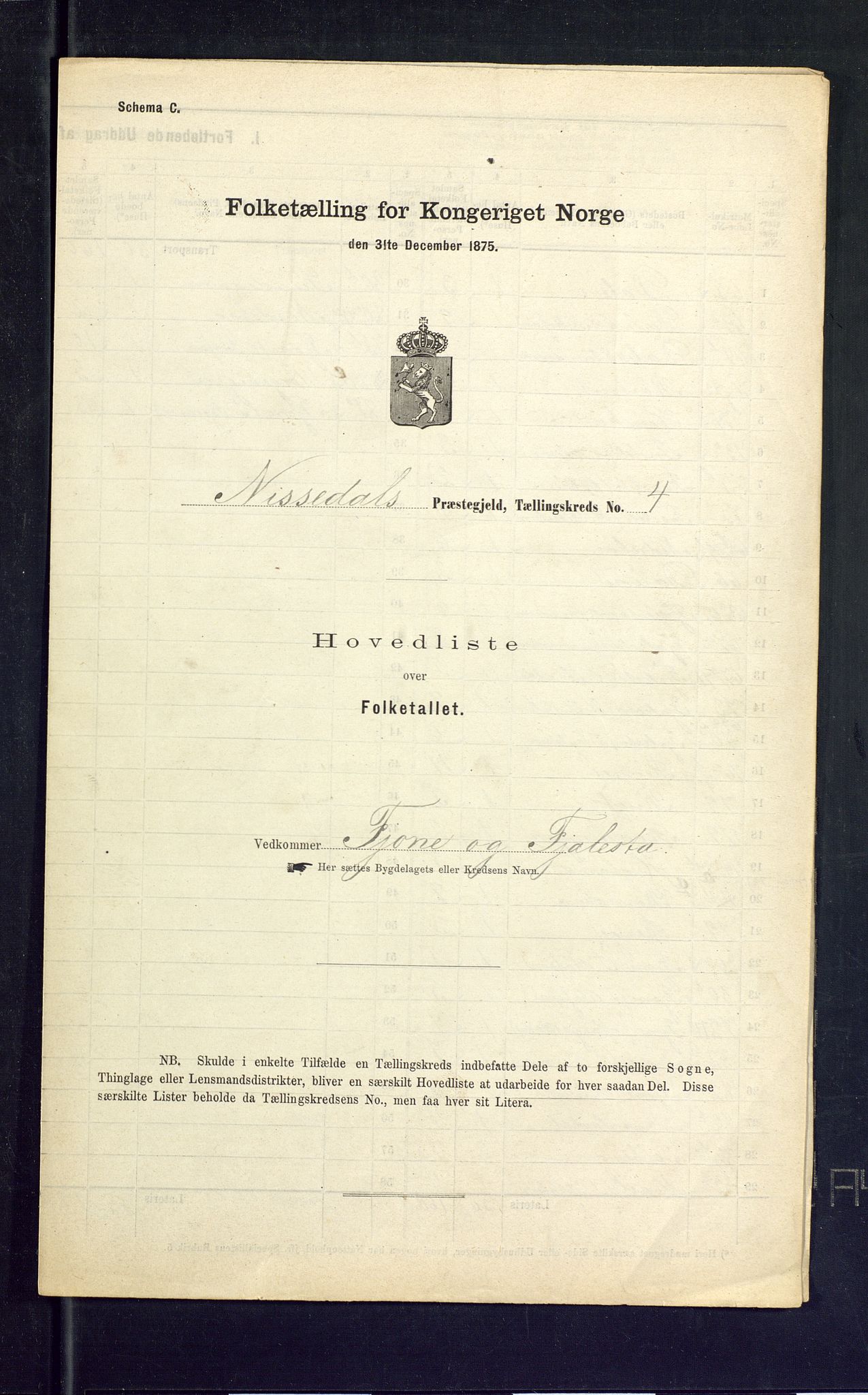 SAKO, Folketelling 1875 for 0830P Nissedal prestegjeld, 1875, s. 13