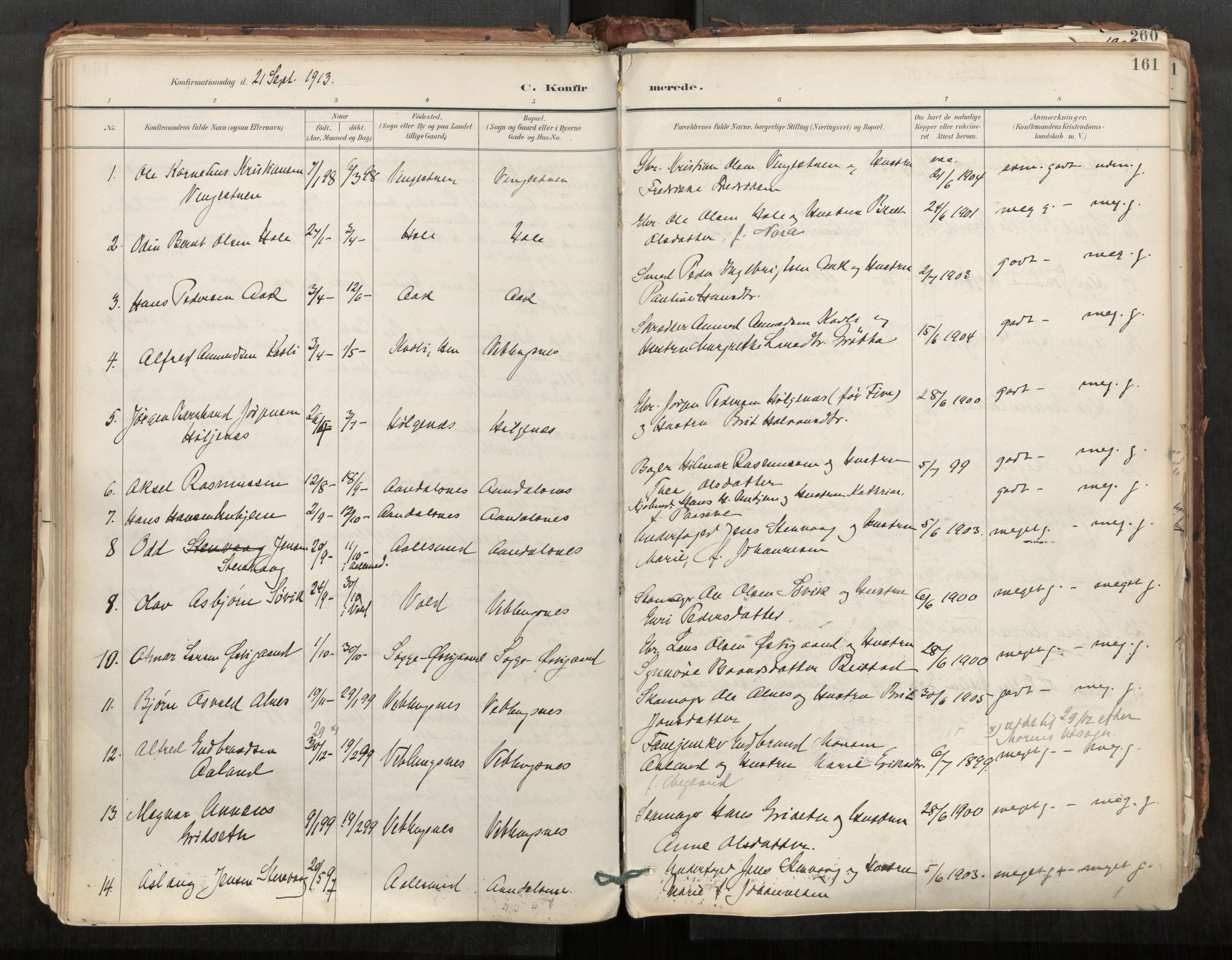 Ministerialprotokoller, klokkerbøker og fødselsregistre - Møre og Romsdal, AV/SAT-A-1454/544/L0585: Ministerialbok nr. 544A06, 1887-1924, s. 161