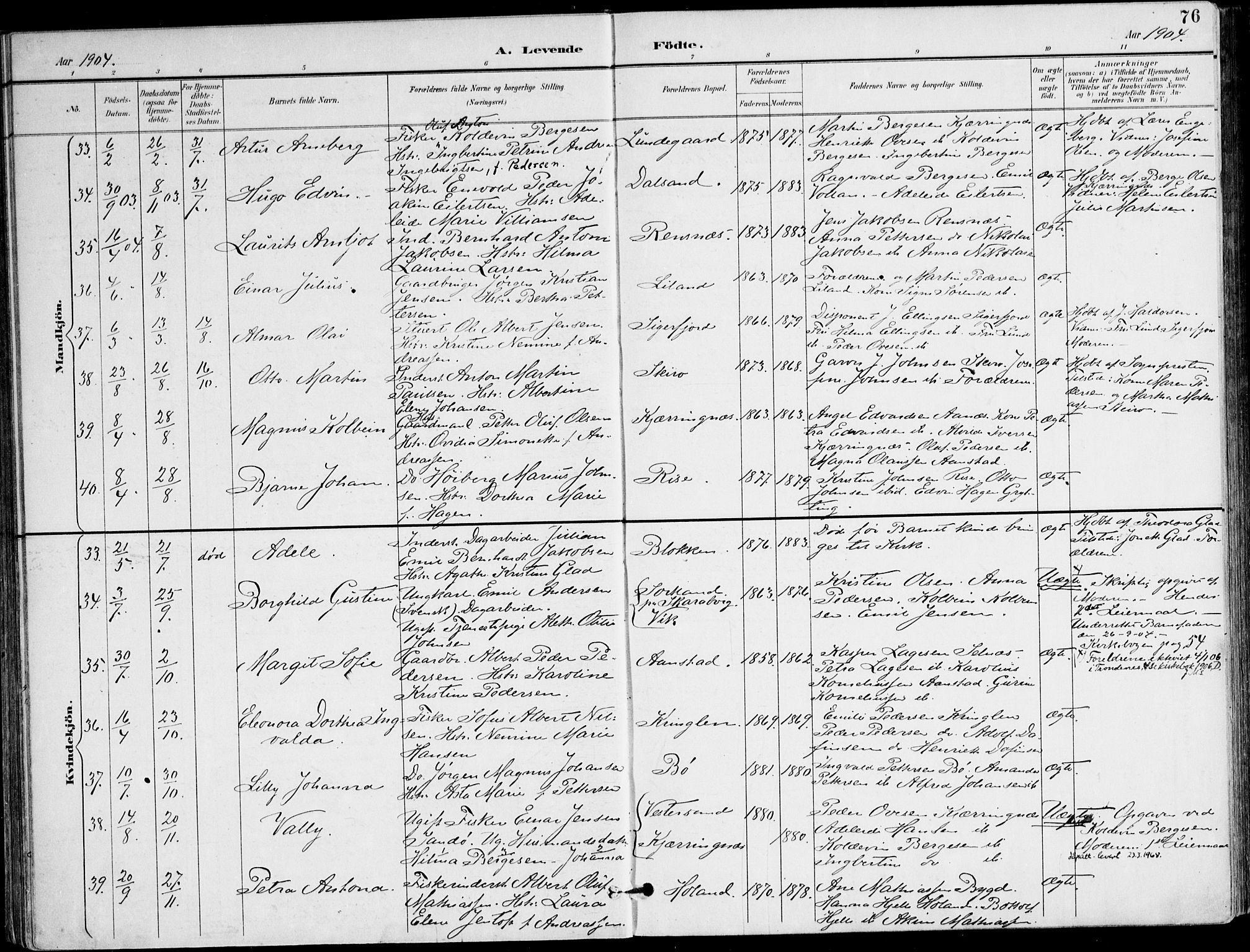 Ministerialprotokoller, klokkerbøker og fødselsregistre - Nordland, AV/SAT-A-1459/895/L1372: Ministerialbok nr. 895A07, 1894-1914, s. 76
