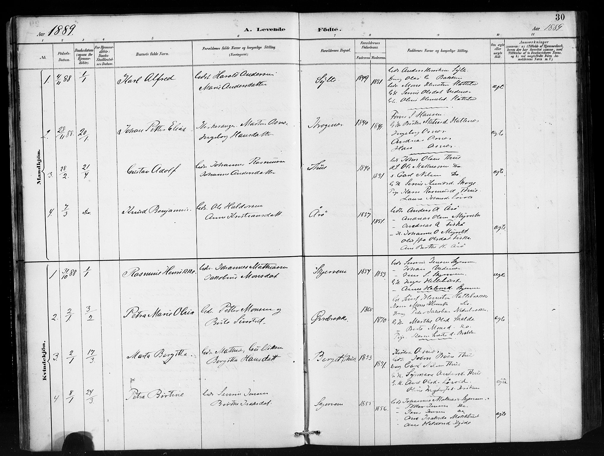 Ministerialprotokoller, klokkerbøker og fødselsregistre - Møre og Romsdal, AV/SAT-A-1454/501/L0008: Ministerialbok nr. 501A08, 1885-1901, s. 30