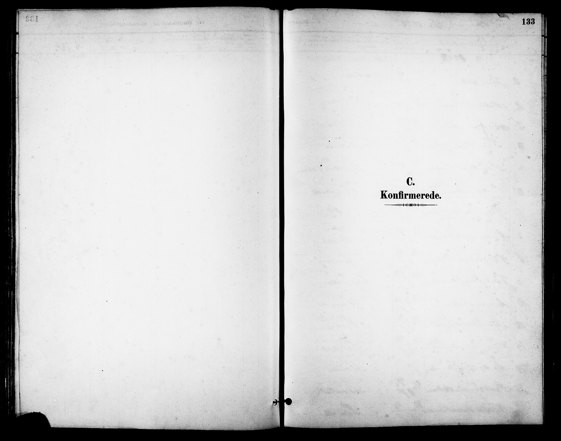Ministerialprotokoller, klokkerbøker og fødselsregistre - Møre og Romsdal, AV/SAT-A-1454/513/L0189: Klokkerbok nr. 513C03, 1883-1904, s. 133