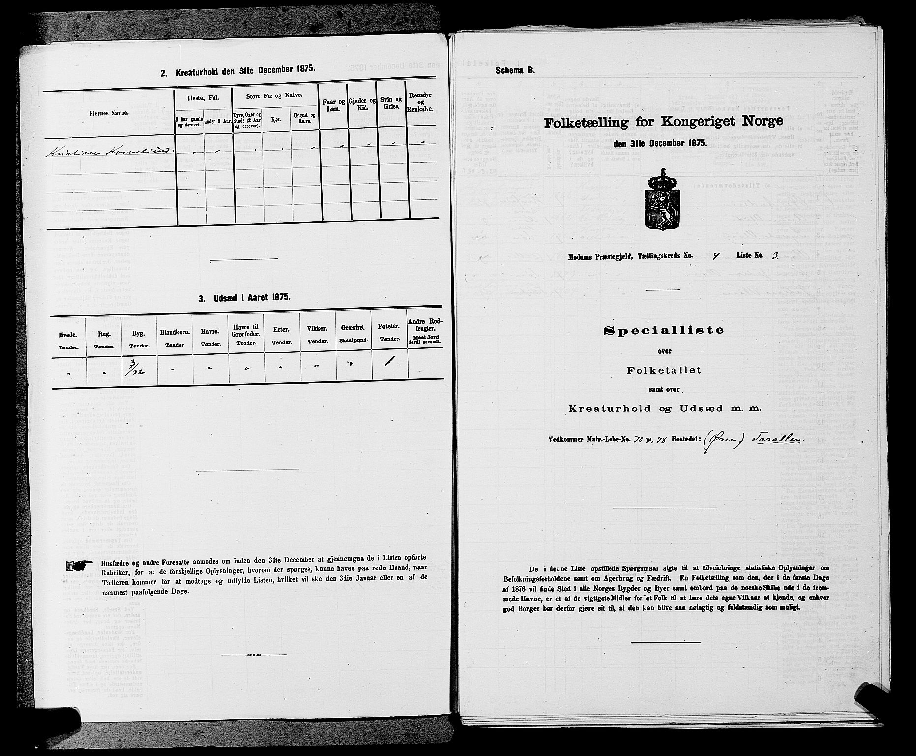 SAKO, Folketelling 1875 for 0623P Modum prestegjeld, 1875, s. 433