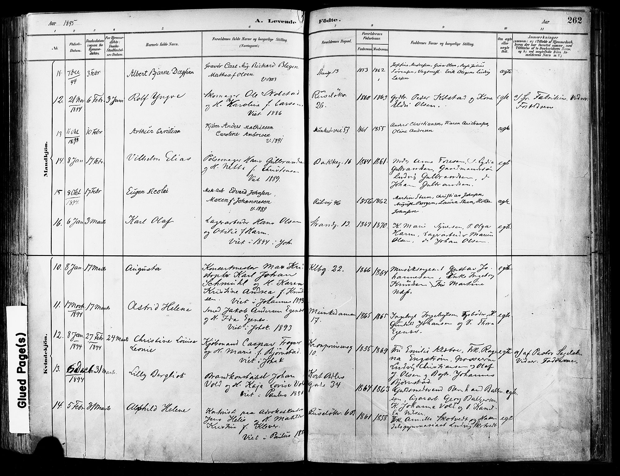Johannes prestekontor Kirkebøker, AV/SAO-A-10852/F/Fa/L0003: Ministerialbok nr. 3, 1882-1896, s. 262