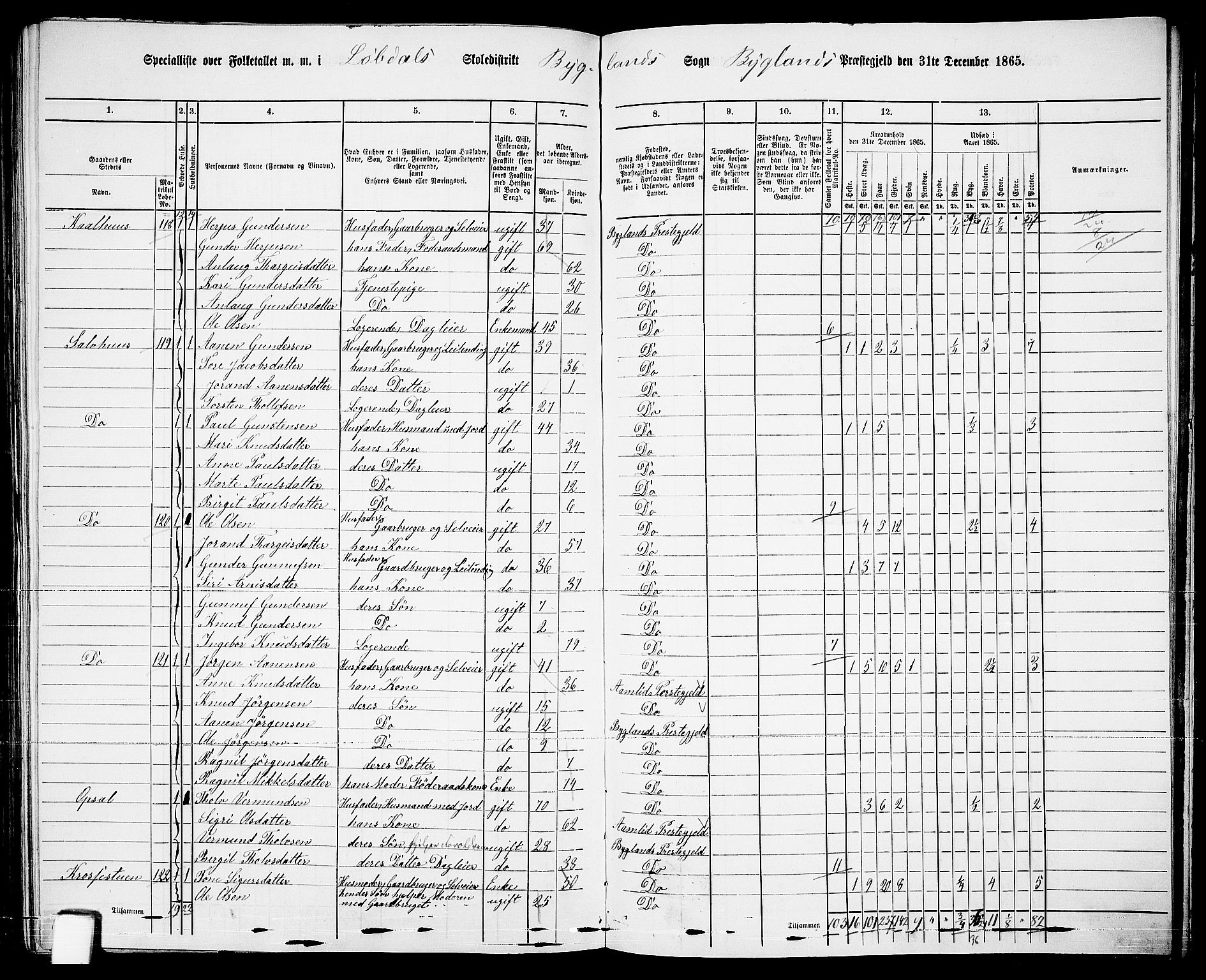 RA, Folketelling 1865 for 0938P Bygland prestegjeld, 1865, s. 71