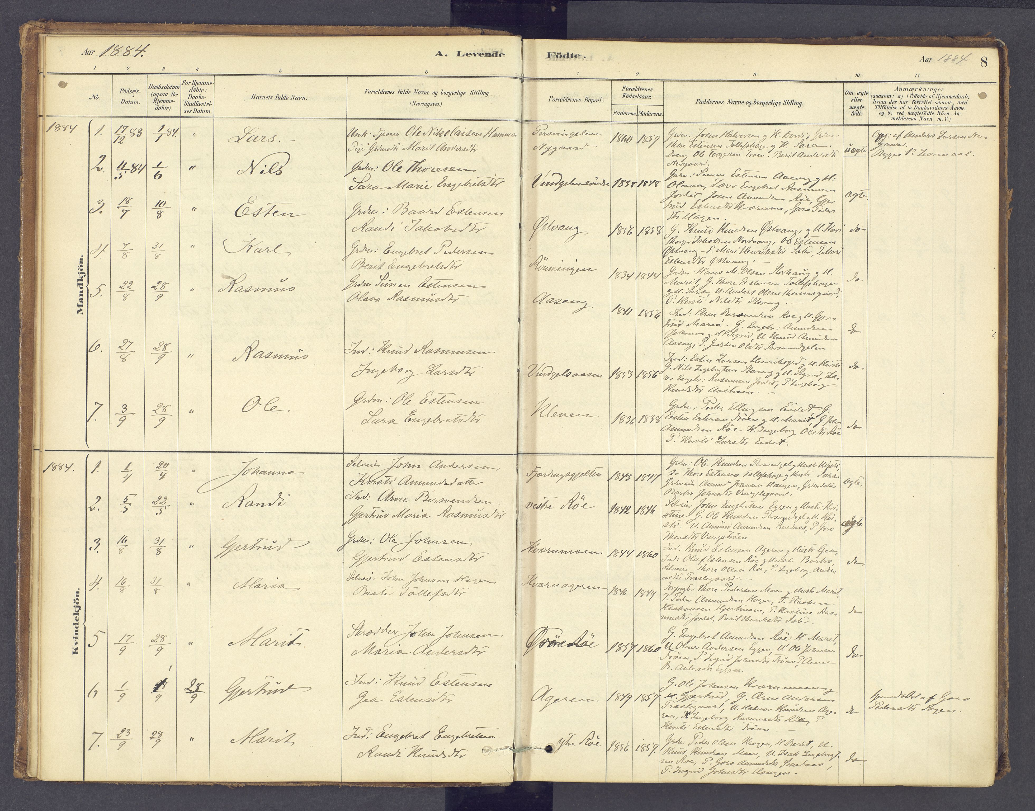 Tolga prestekontor, AV/SAH-PREST-062/K/L0012: Ministerialbok nr. 12, 1877-1925, s. 8