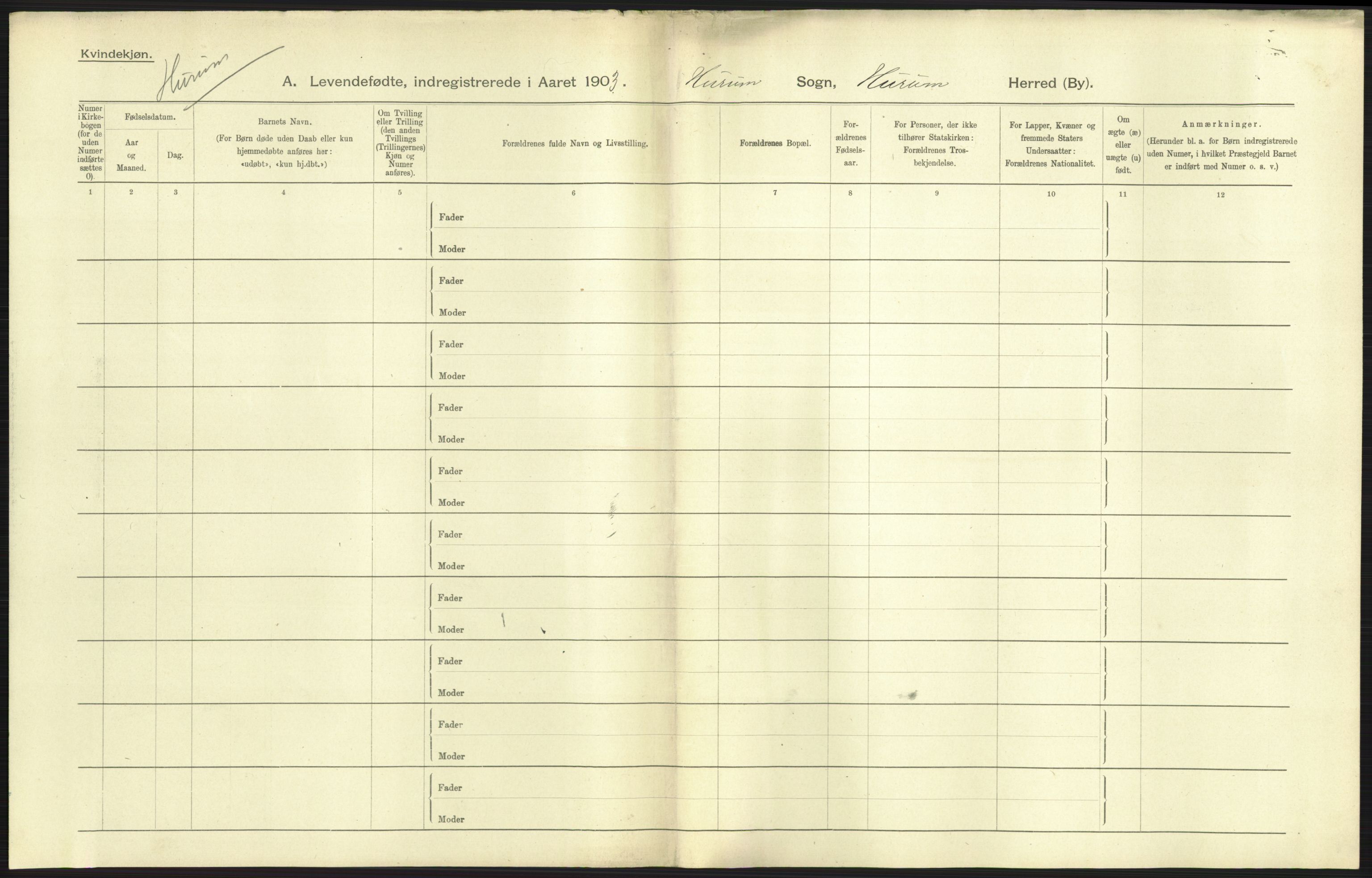 Statistisk sentralbyrå, Sosiodemografiske emner, Befolkning, AV/RA-S-2228/D/Df/Dfa/Dfaa/L0007: Buskeruds amt: Fødte, gifte, døde, 1903, s. 47