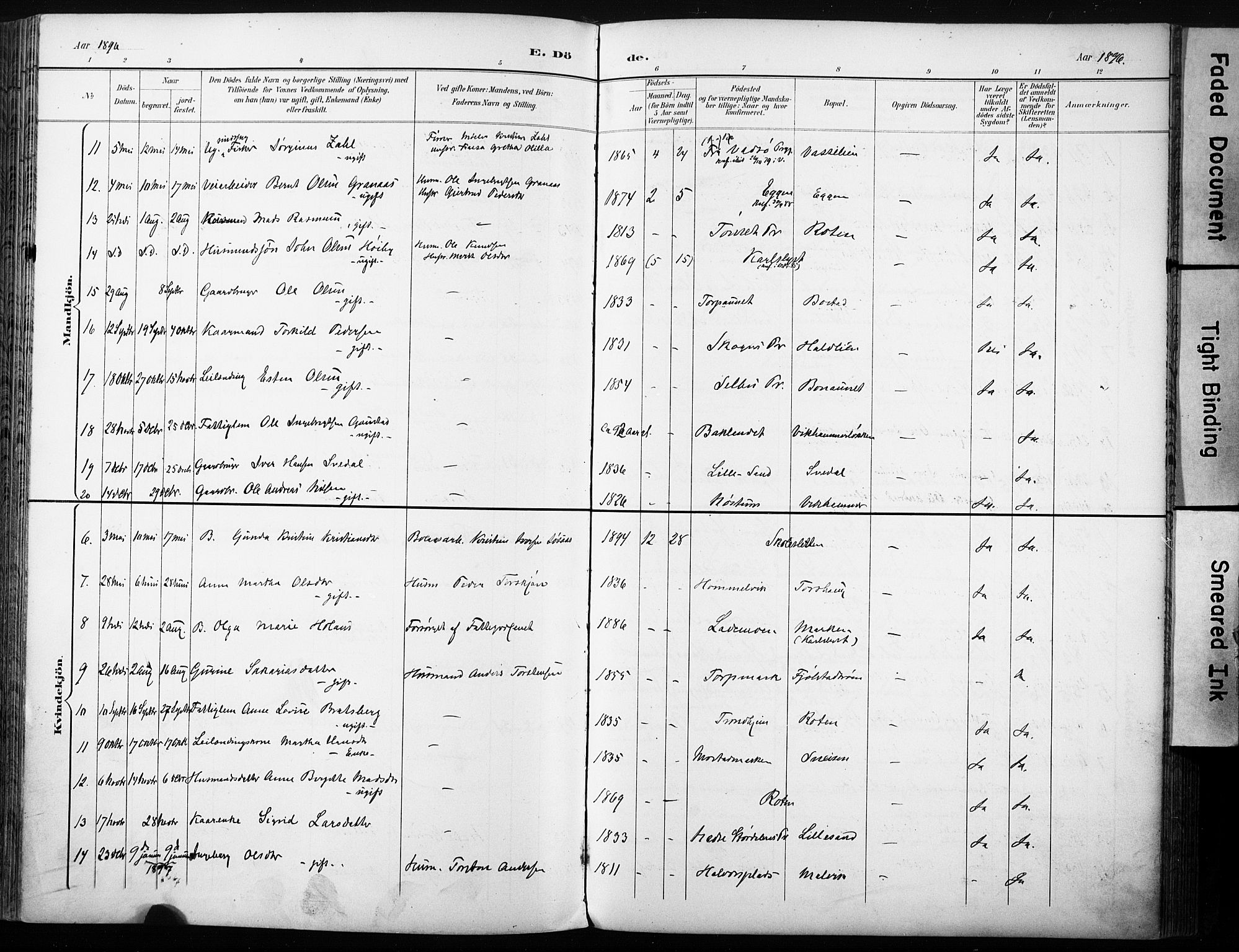 Ministerialprotokoller, klokkerbøker og fødselsregistre - Sør-Trøndelag, AV/SAT-A-1456/616/L0411: Ministerialbok nr. 616A08, 1894-1906