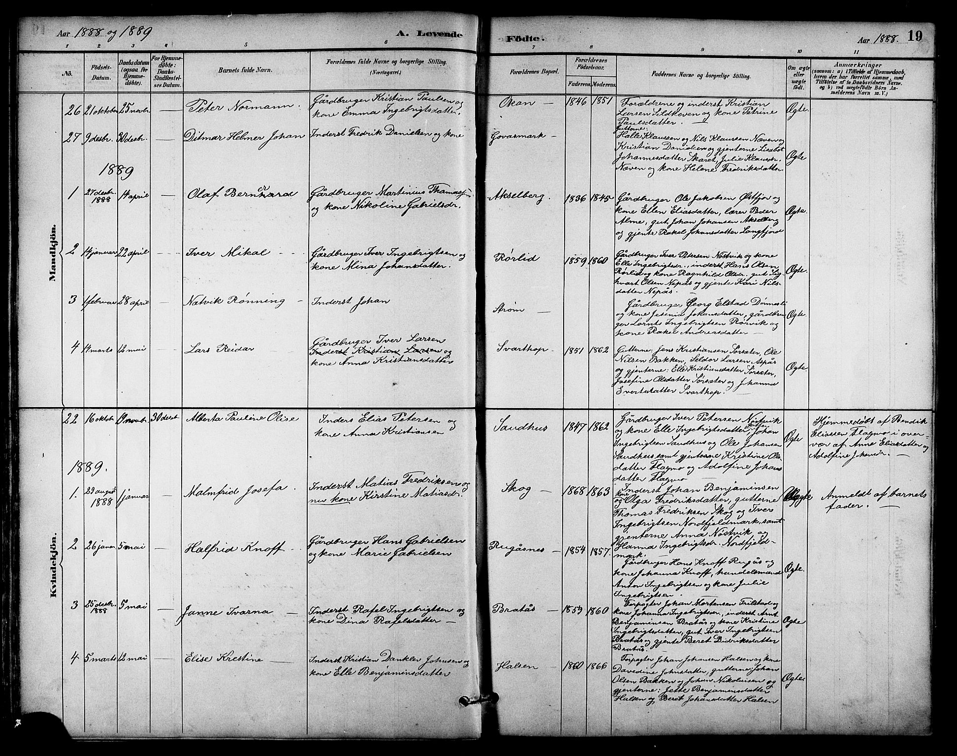 Ministerialprotokoller, klokkerbøker og fødselsregistre - Nordland, AV/SAT-A-1459/814/L0230: Klokkerbok nr. 814C03, 1884-1911, s. 19
