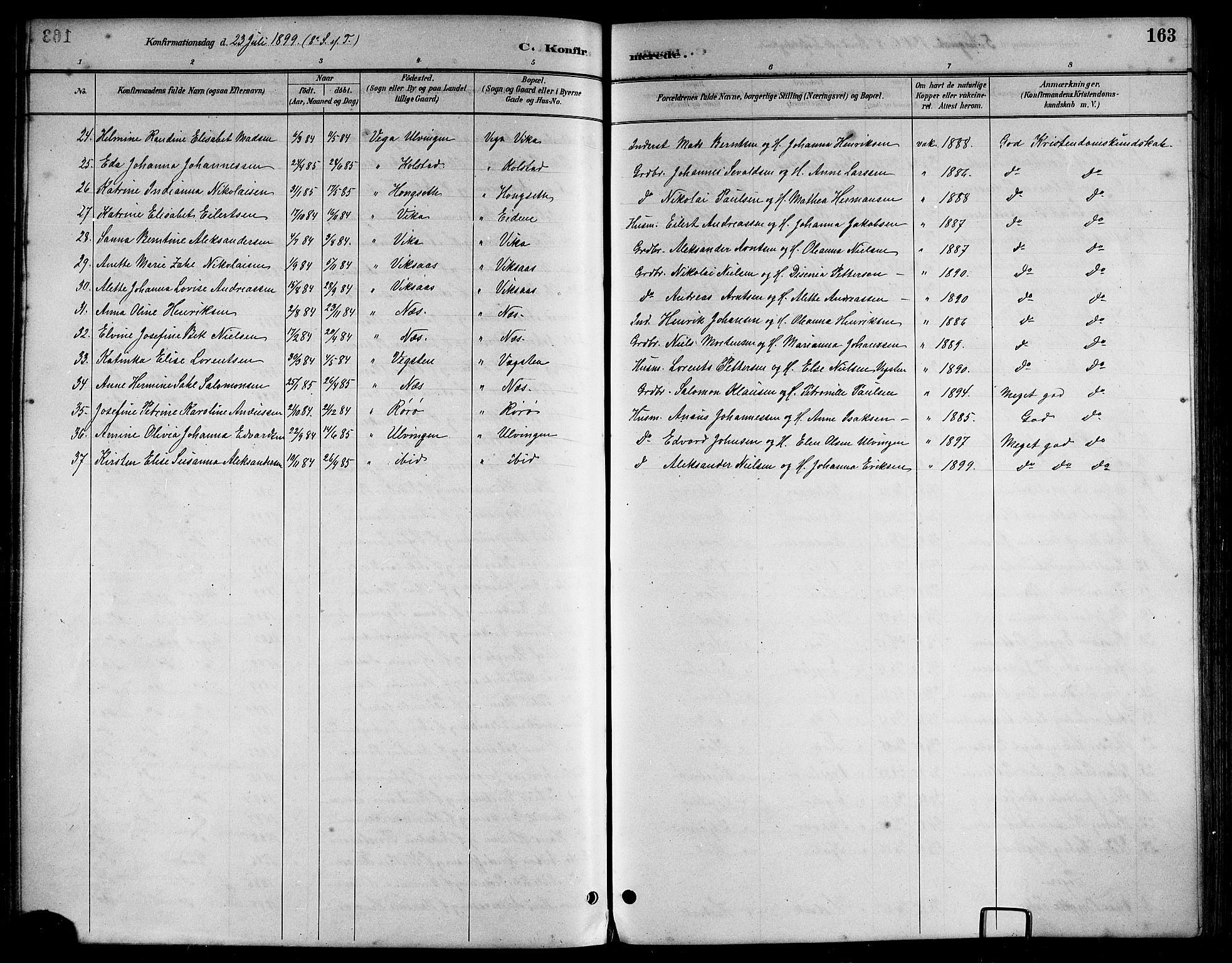 Ministerialprotokoller, klokkerbøker og fødselsregistre - Nordland, AV/SAT-A-1459/816/L0253: Klokkerbok nr. 816C03, 1886-1905, s. 163