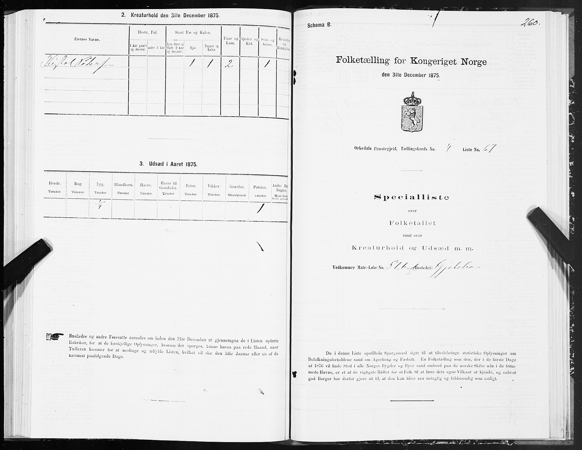 SAT, Folketelling 1875 for 1638P Orkdal prestegjeld, 1875, s. 2260