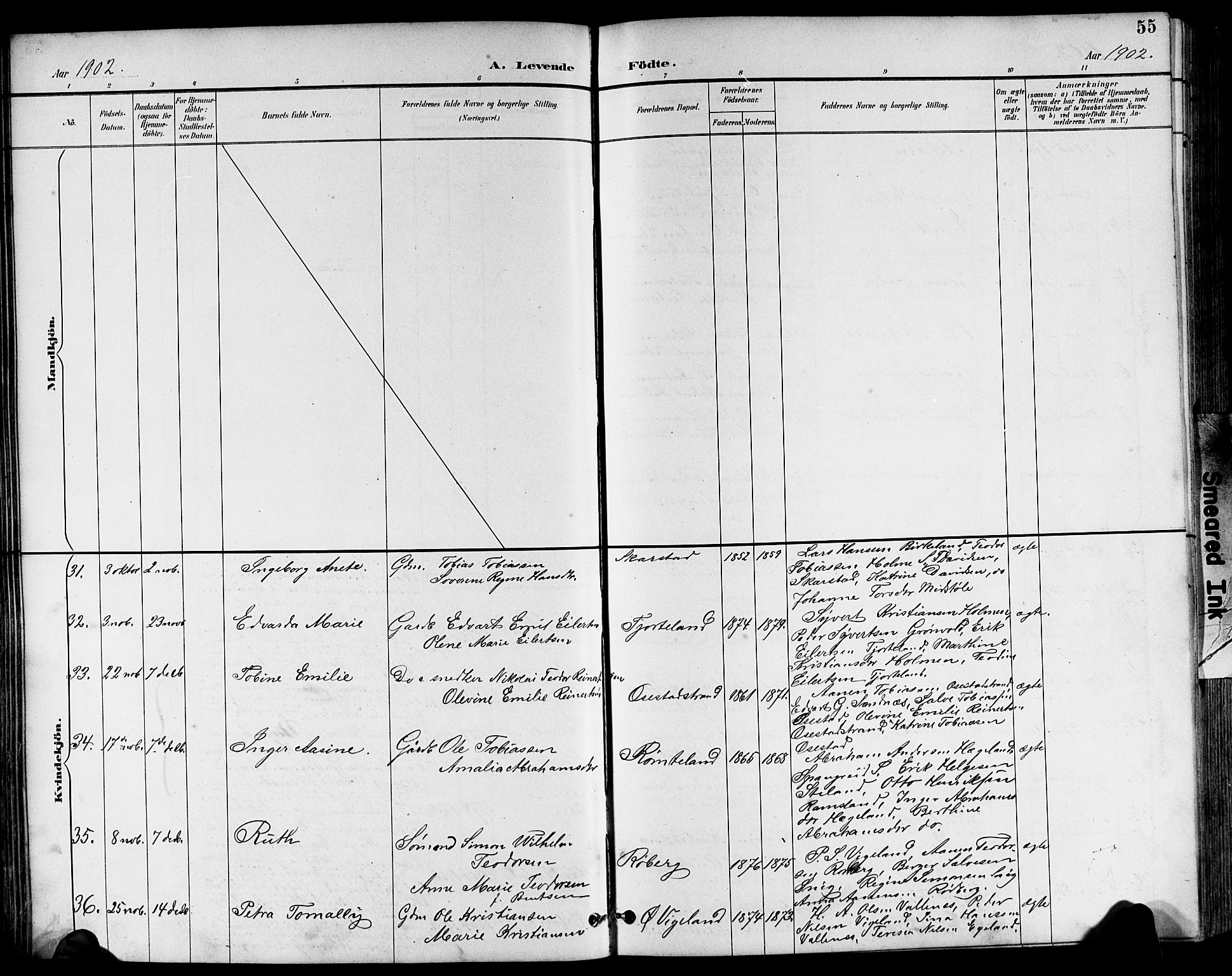 Sør-Audnedal sokneprestkontor, AV/SAK-1111-0039/F/Fb/Fbb/L0006: Klokkerbok nr. B 6, 1893-1915, s. 55