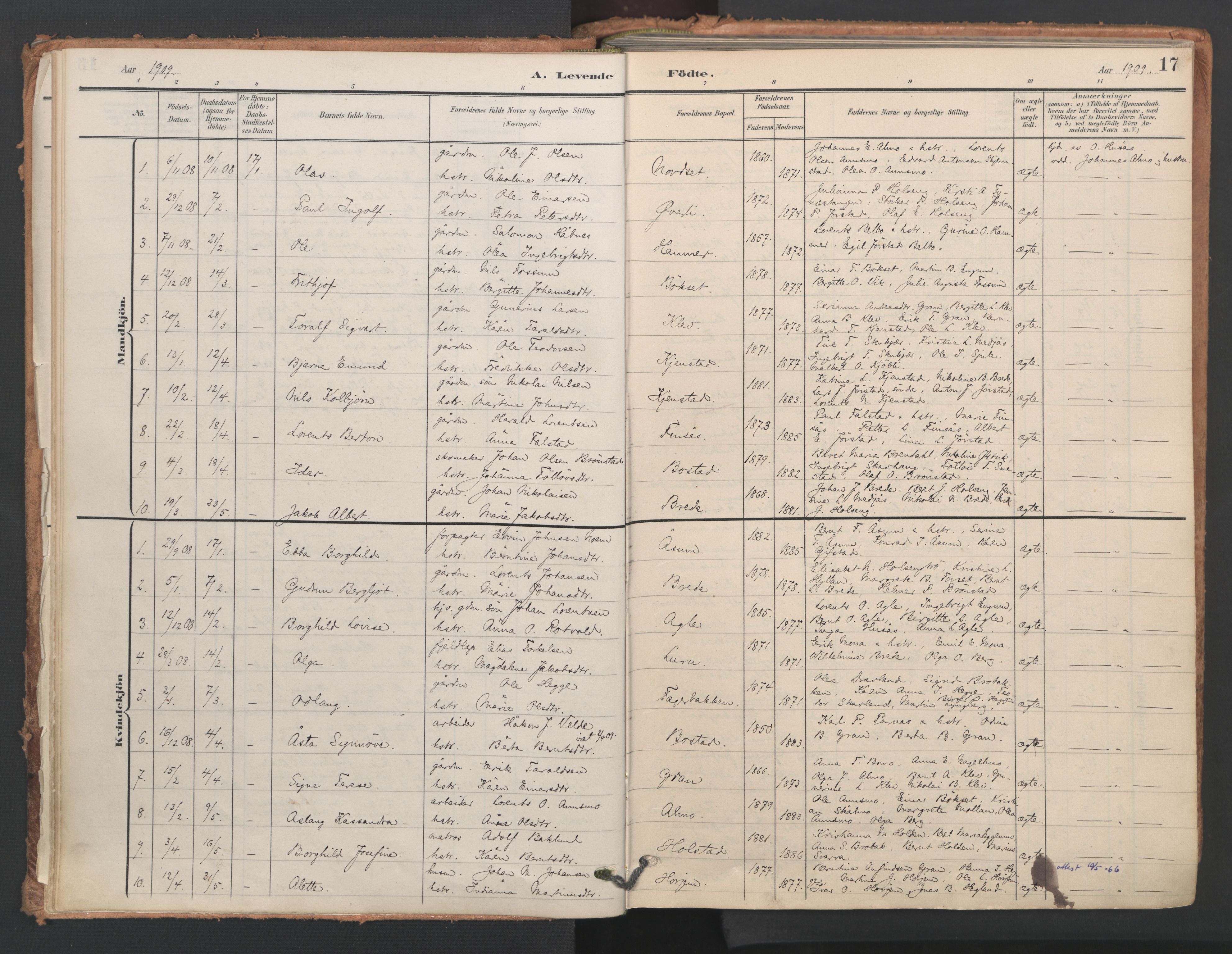 Ministerialprotokoller, klokkerbøker og fødselsregistre - Nord-Trøndelag, AV/SAT-A-1458/749/L0477: Ministerialbok nr. 749A11, 1902-1927, s. 17