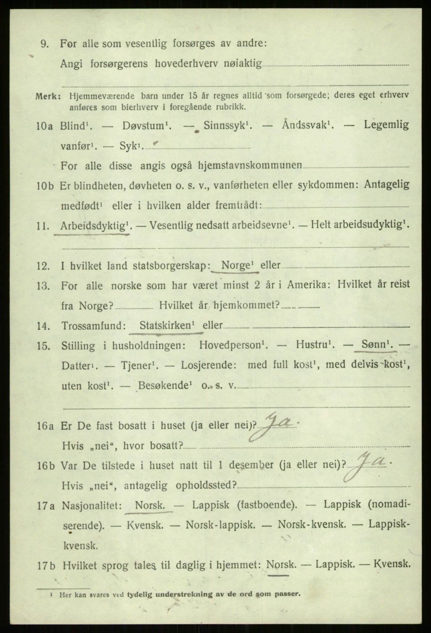 SATØ, Folketelling 1920 for 1917 Ibestad herred, 1920, s. 10948