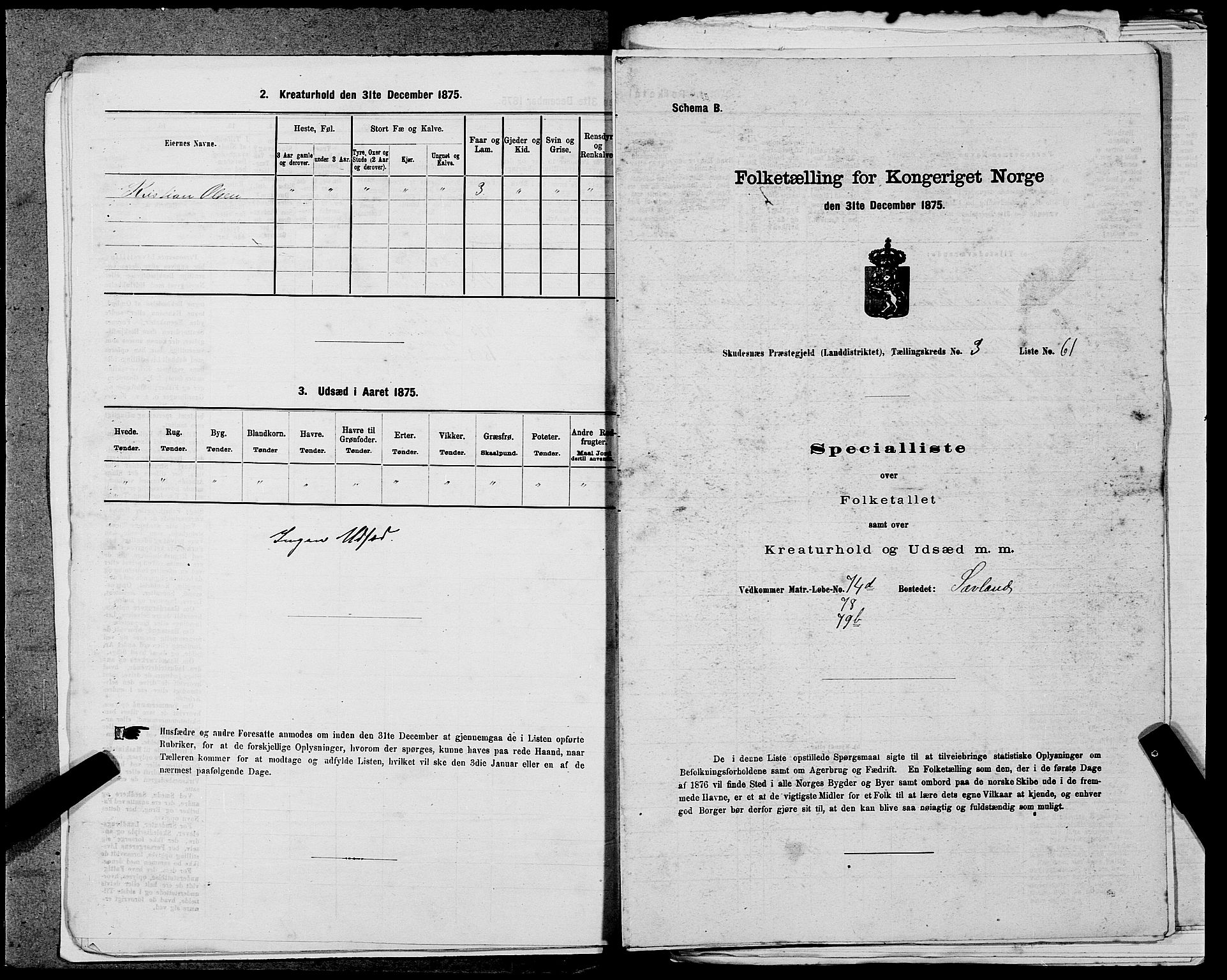 SAST, Folketelling 1875 for 1150L Skudenes prestegjeld, Falnes sokn, Åkra sokn og Ferkingstad sokn, 1875, s. 348