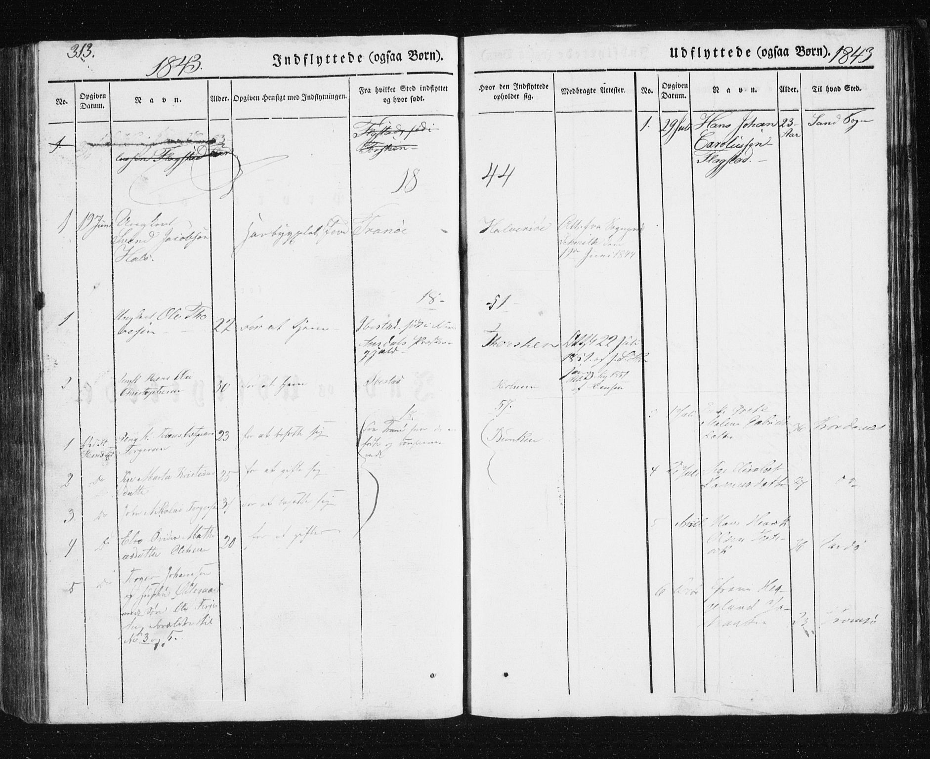 Berg sokneprestkontor, SATØ/S-1318/G/Ga/Gab/L0011klokker: Klokkerbok nr. 11, 1833-1878, s. 313