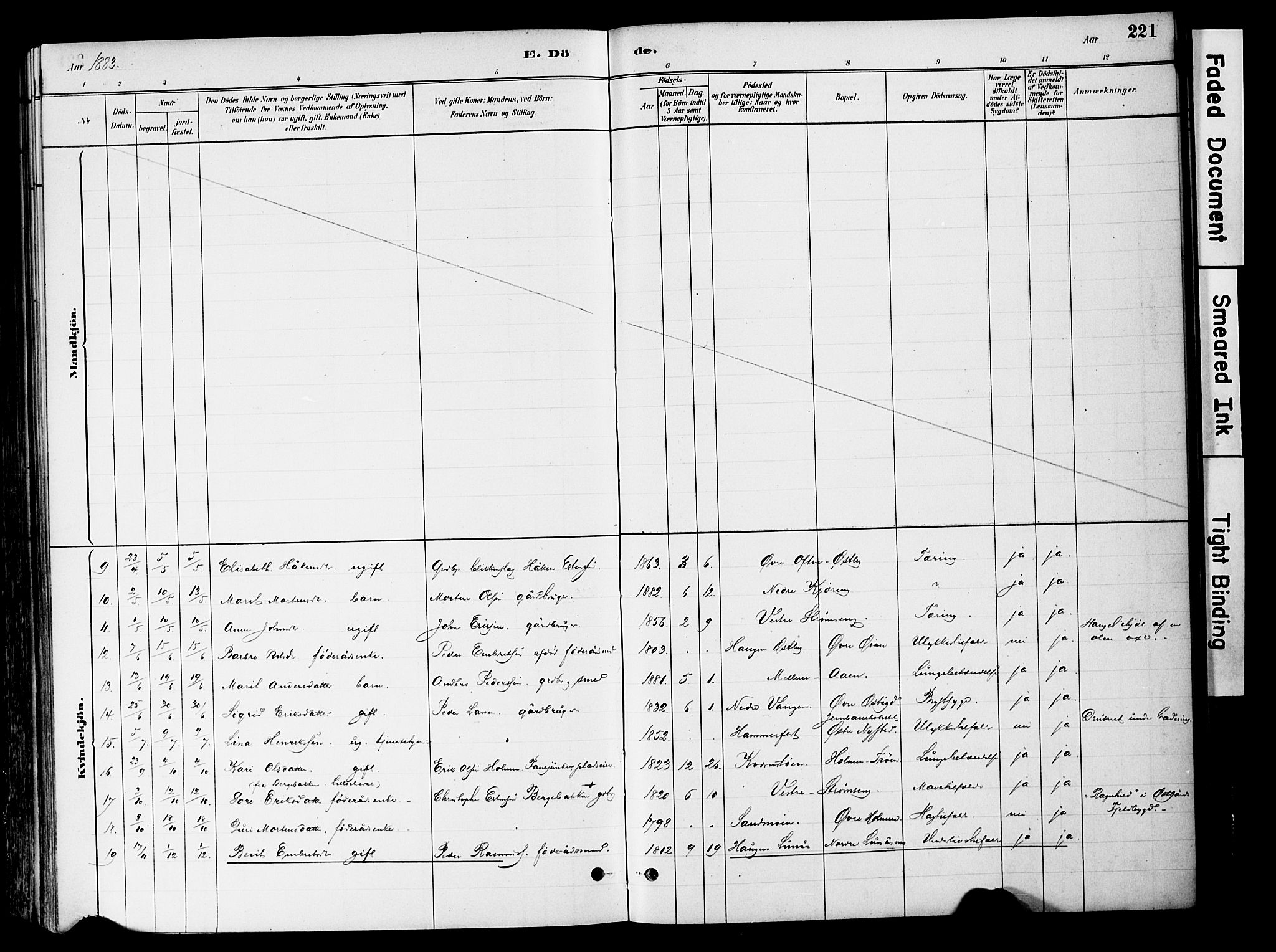 Tynset prestekontor, SAH/PREST-058/H/Ha/Haa/L0022: Ministerialbok nr. 22, 1880-1899, s. 221